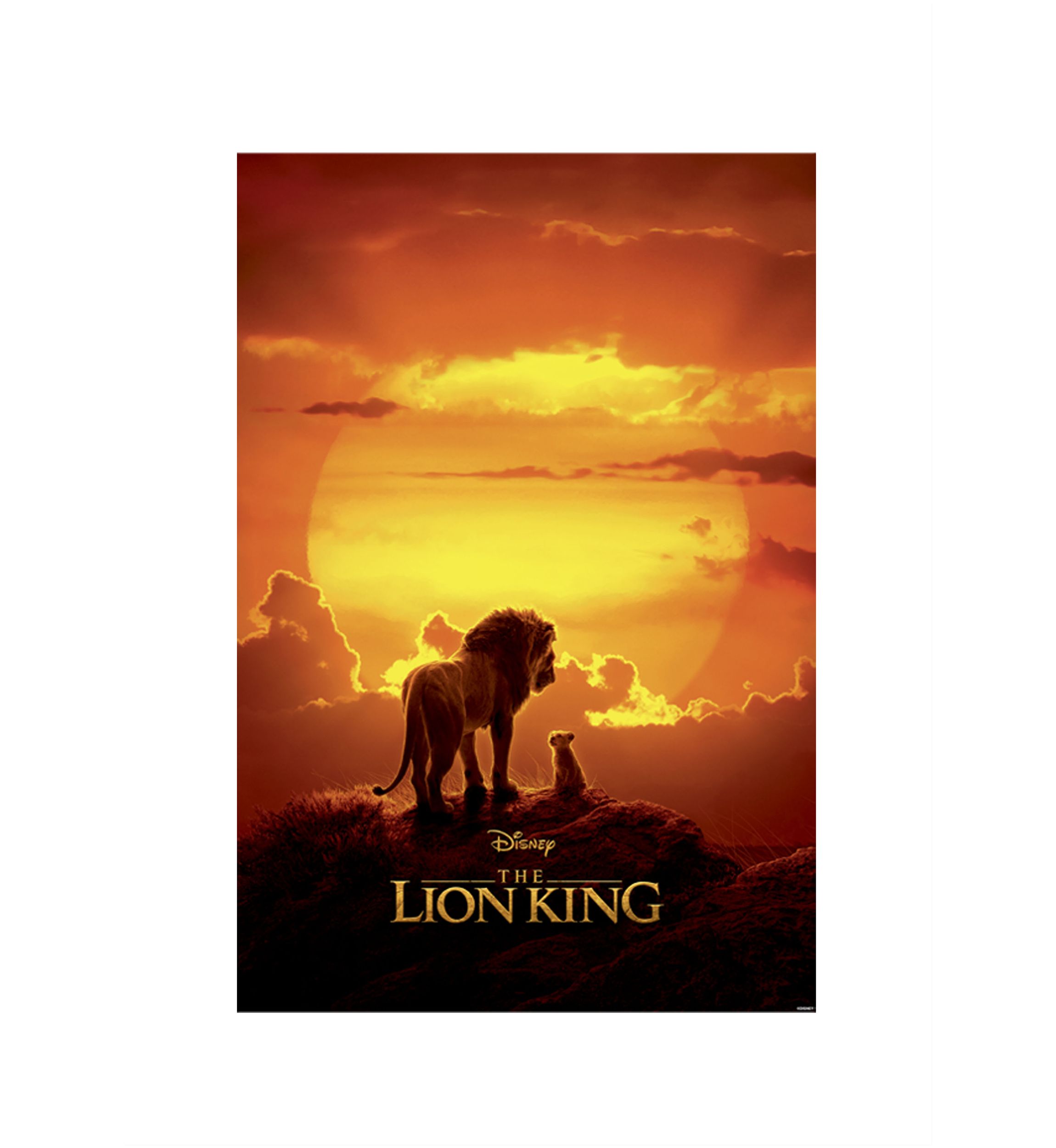 Pride Rock Poster
