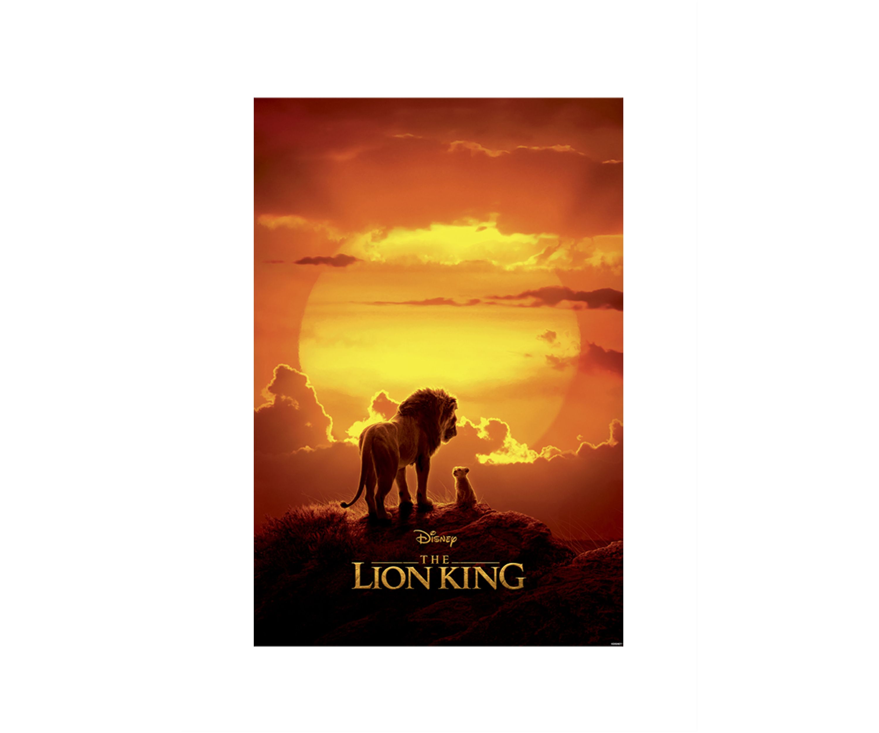 Pride Rock Poster