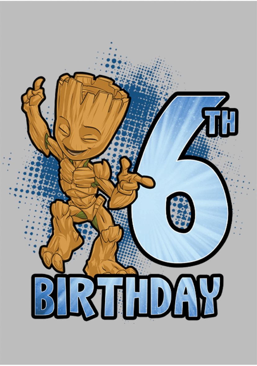 Girls 46x Marvel Groot 6th Bday Graphic Top