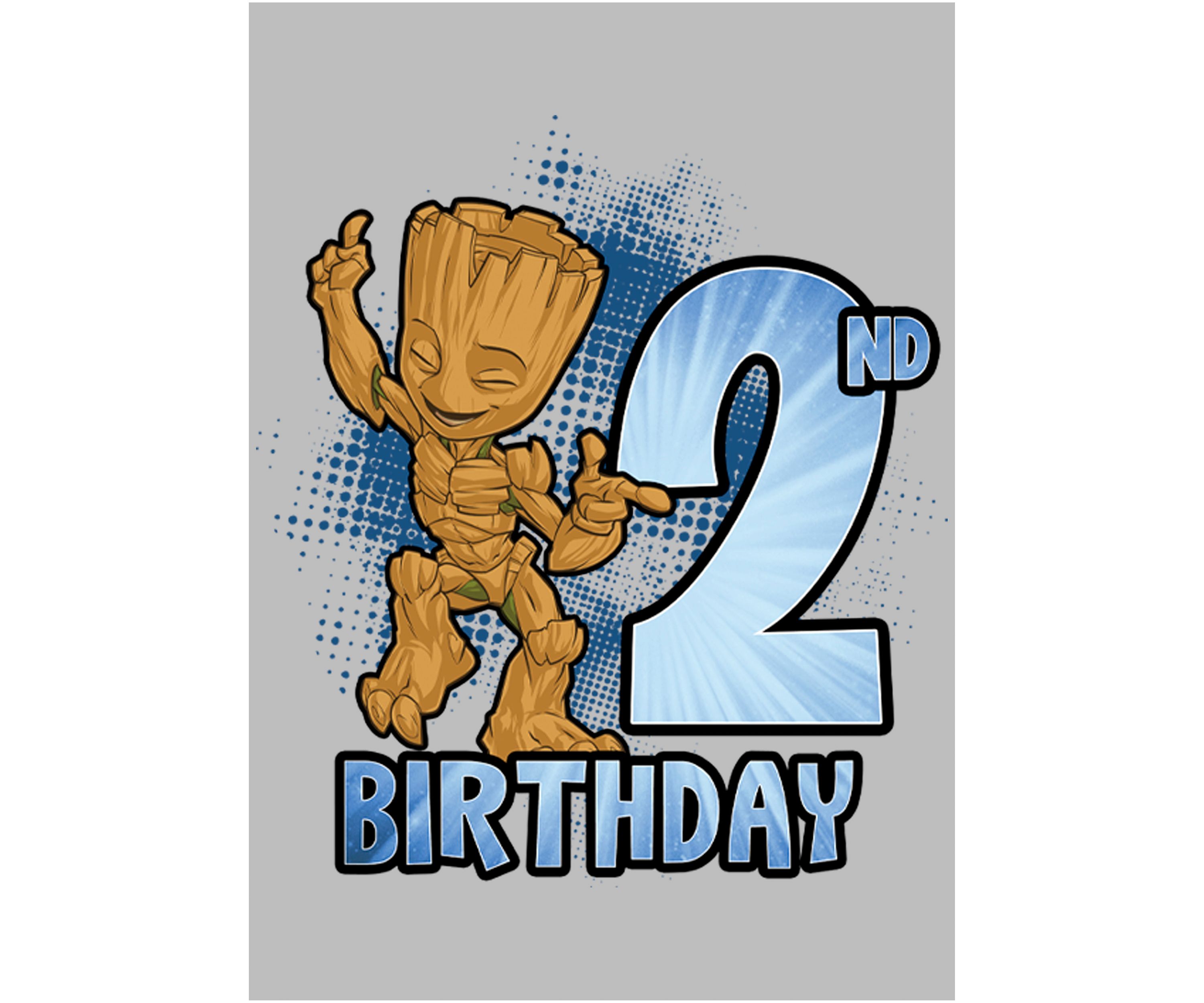 Girls 46x Marvel Groot 2nd Bday Graphic Top