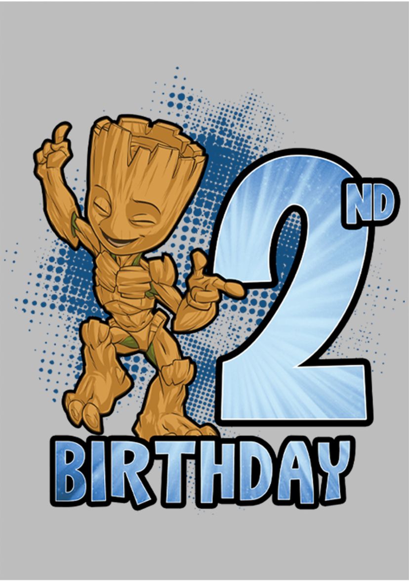 Girls 46x Marvel Groot 2nd Bday Graphic Top
