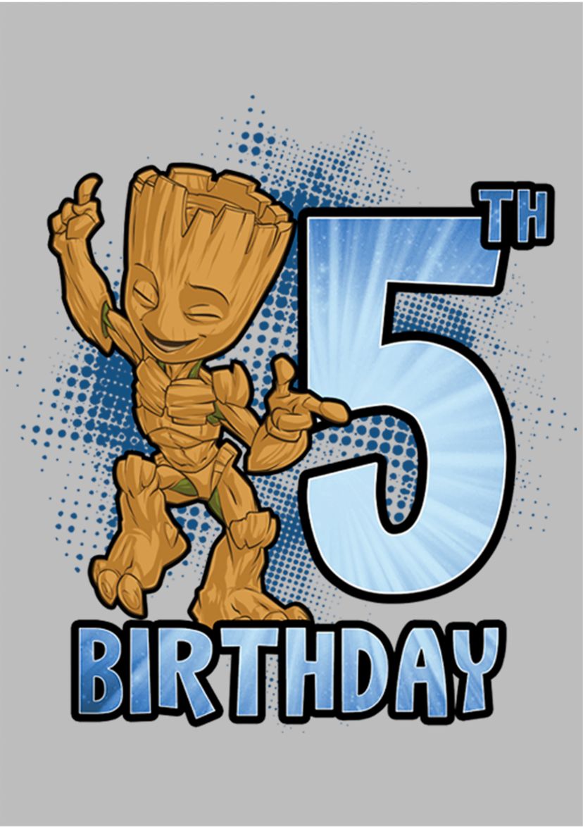 Girls 46x Marvel Groot 5th Bday Graphic Top