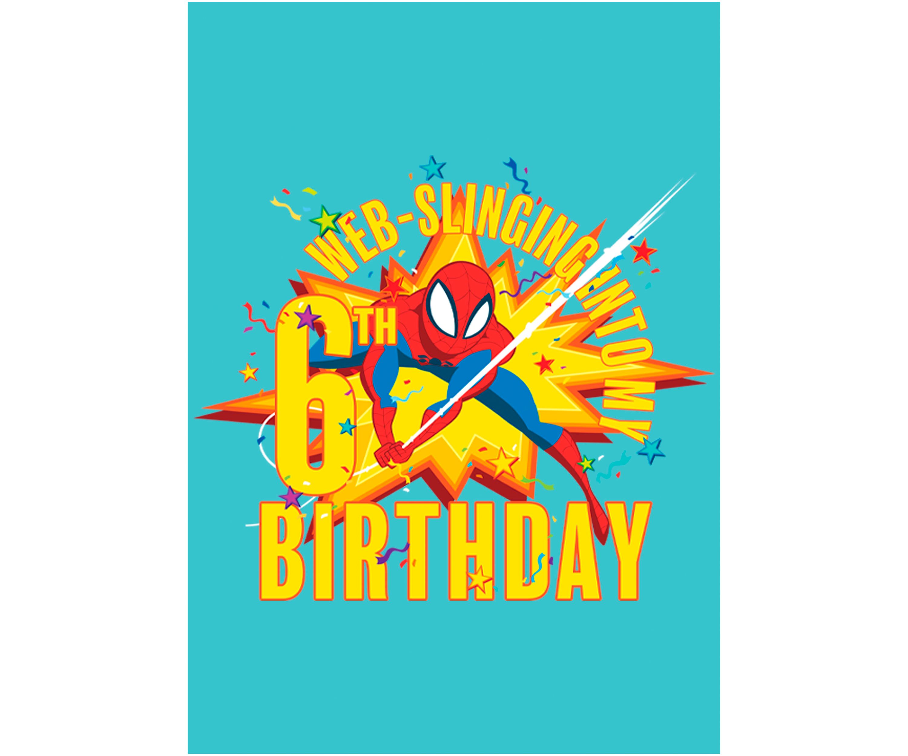 Girls 46x Marvel Seasonal Web Slinging Into My 6th Birthday Graphic Top