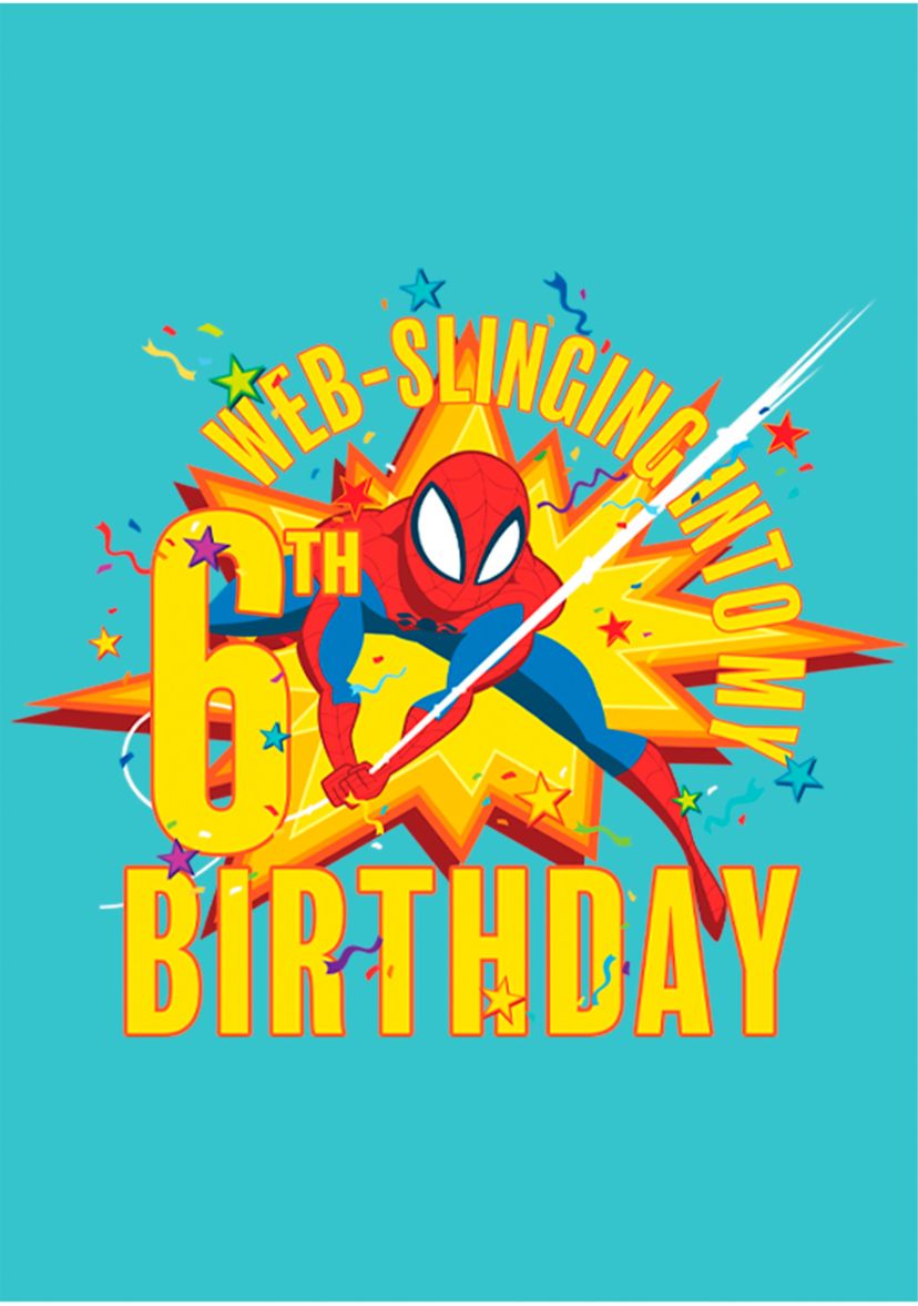 Girls 46x Marvel Seasonal Web Slinging Into My 6th Birthday Graphic Top