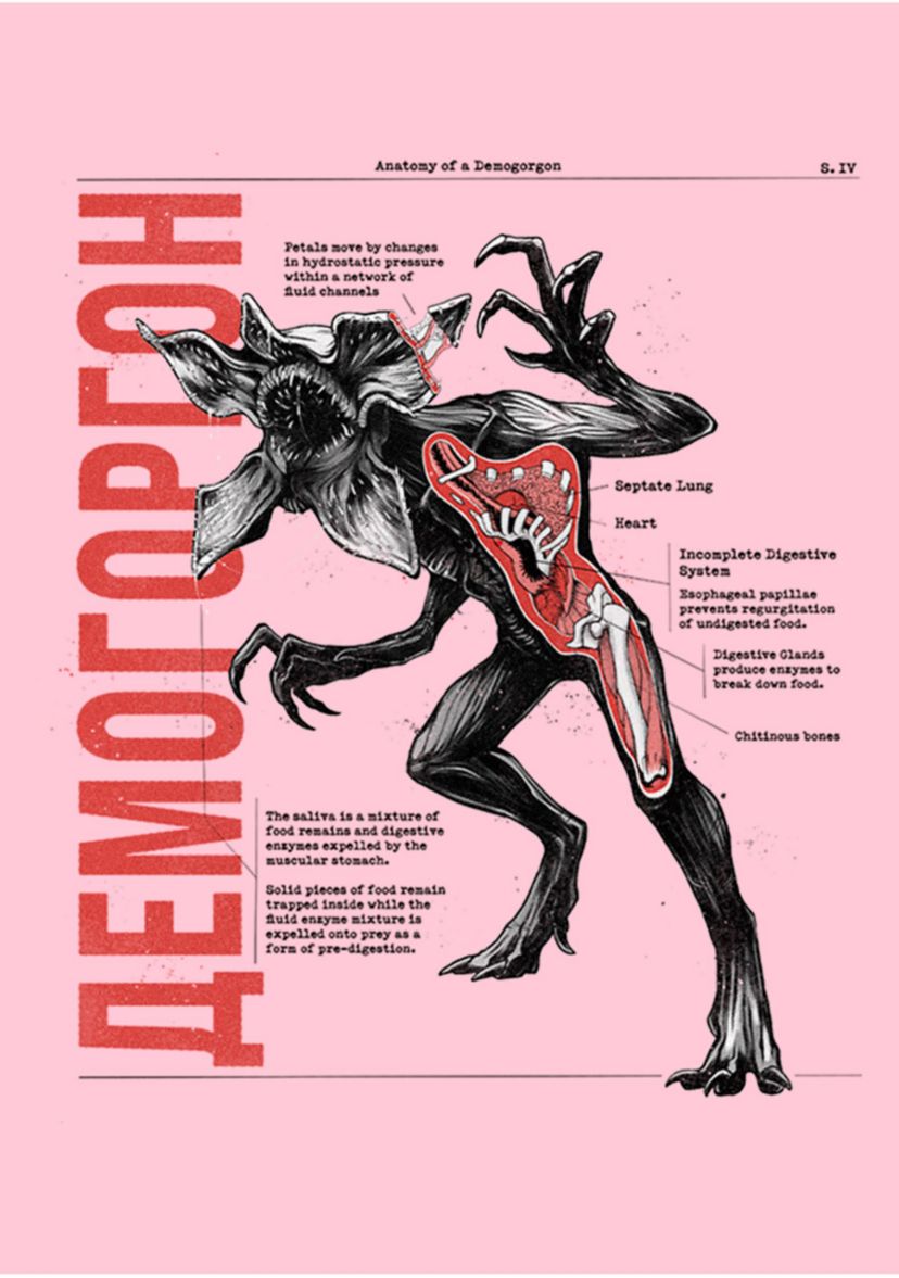 Anatomy Of Demogorgon Graphic T-Shirt