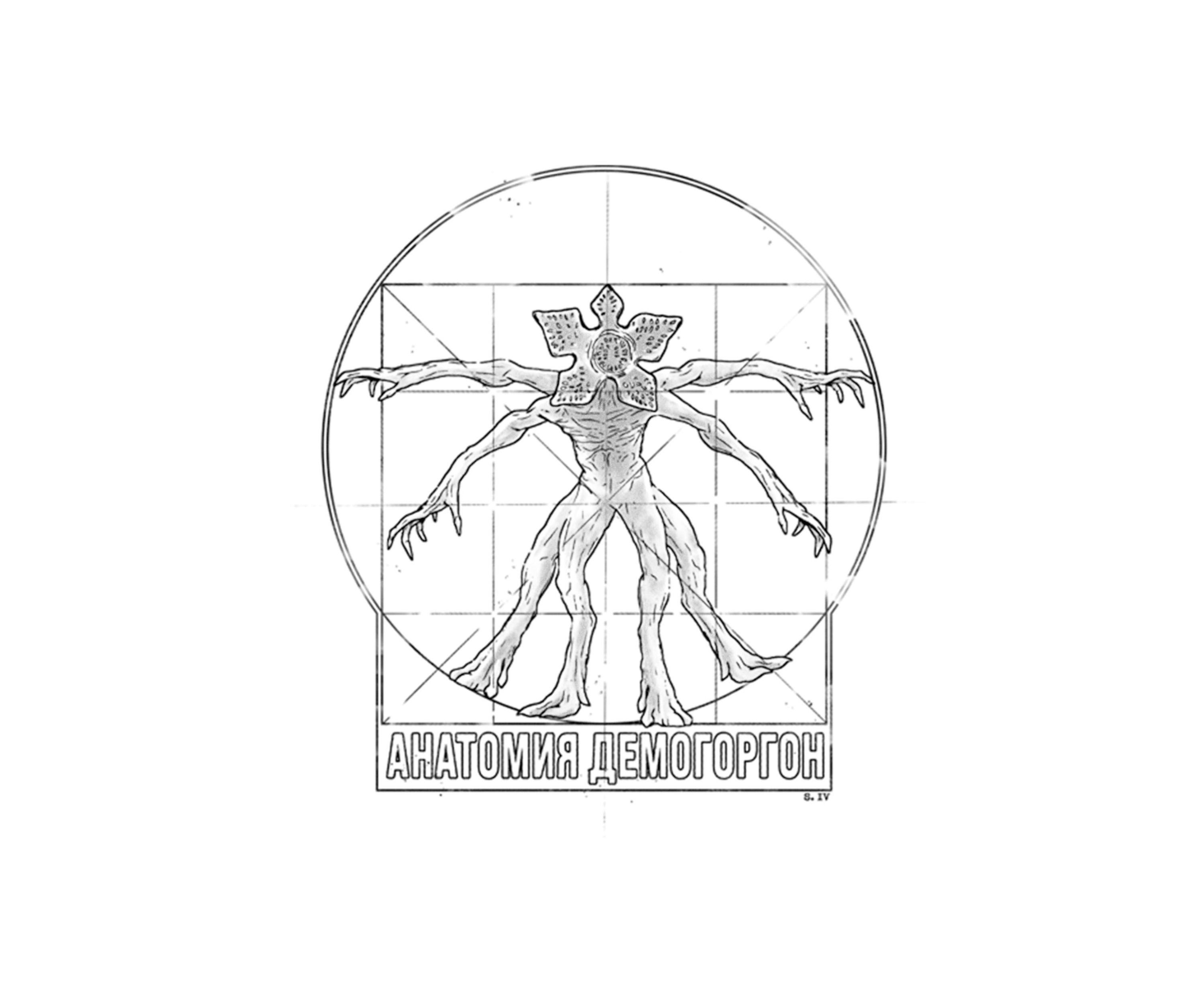 Demo Anatomy Graphic T-Shirt