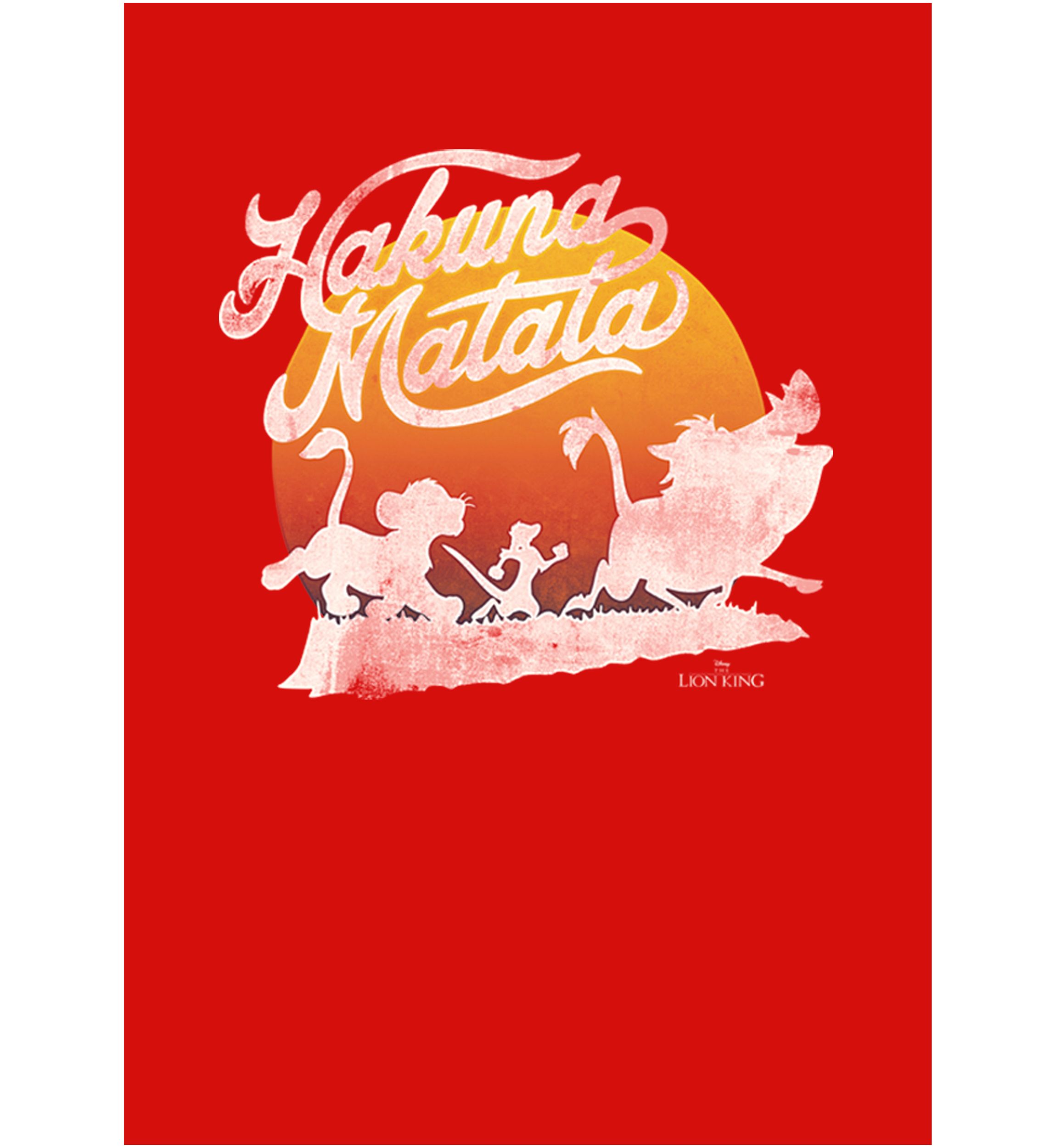 Girls 4-6x  Hakuna sun Graphic Top