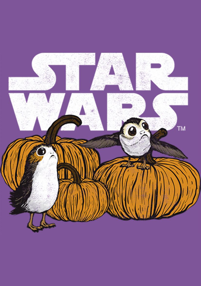  Girls 4-6x Pumpkin Patch Porg T-Shirt 