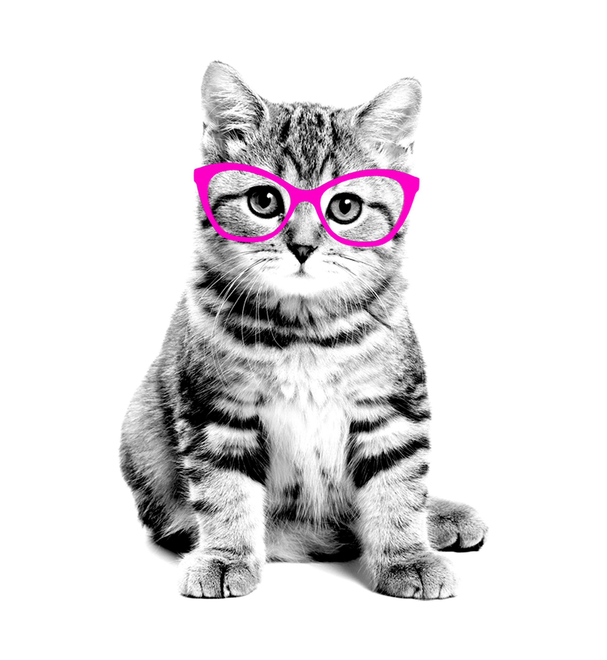 Girls 4-6x Glasses Cat T-Shirt