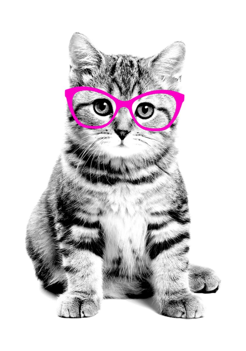 Girls 4-6x Glasses Cat T-Shirt