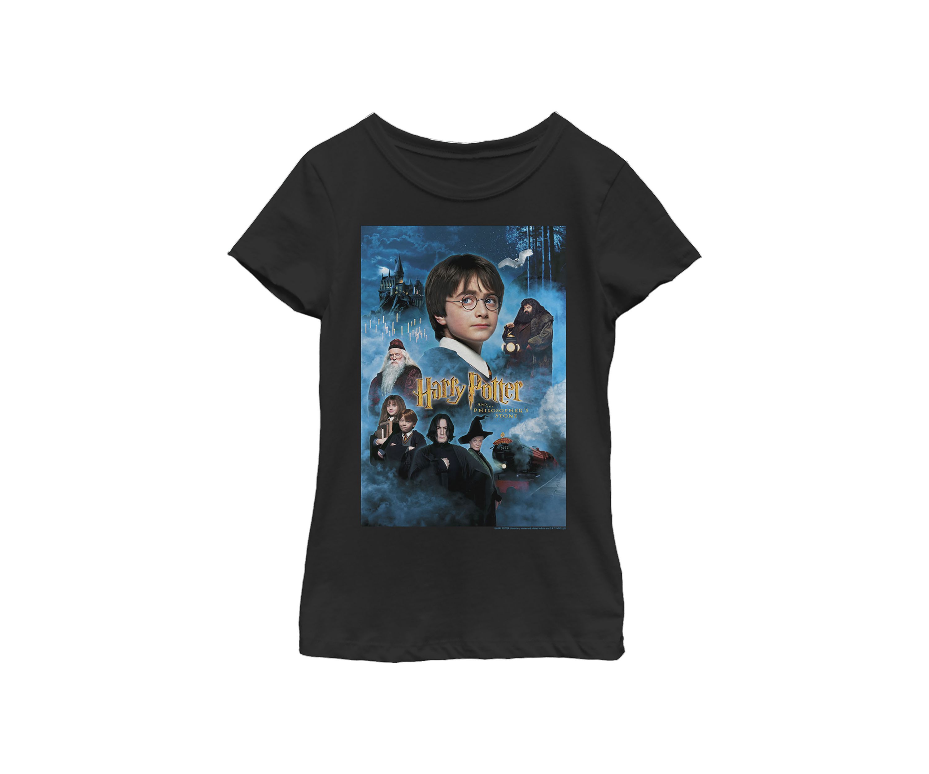 Girls 4-6x Harry Candles Poster Graphic T-Shirt