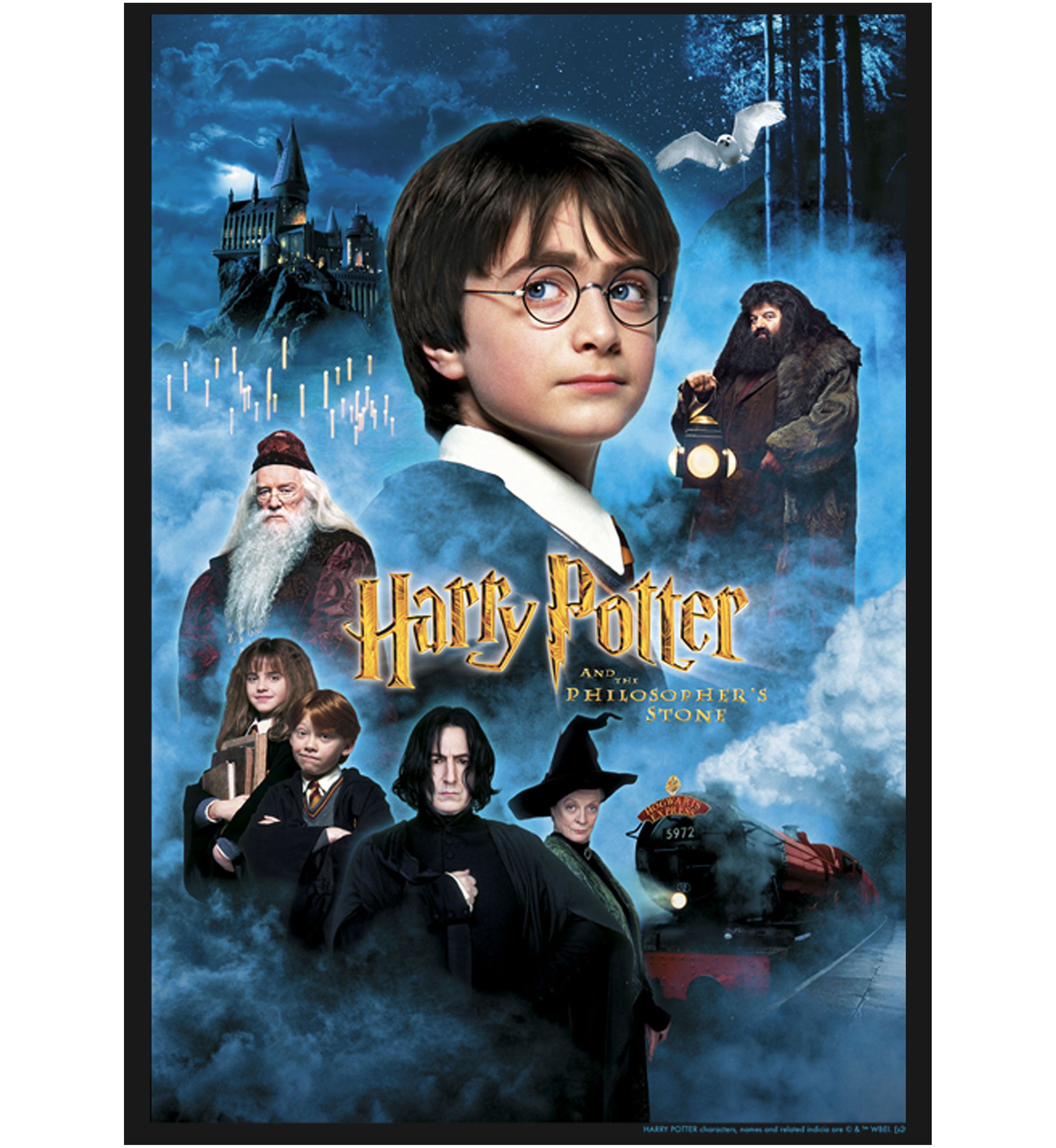 Girls 4-6x Harry Candles Poster Graphic T-Shirt