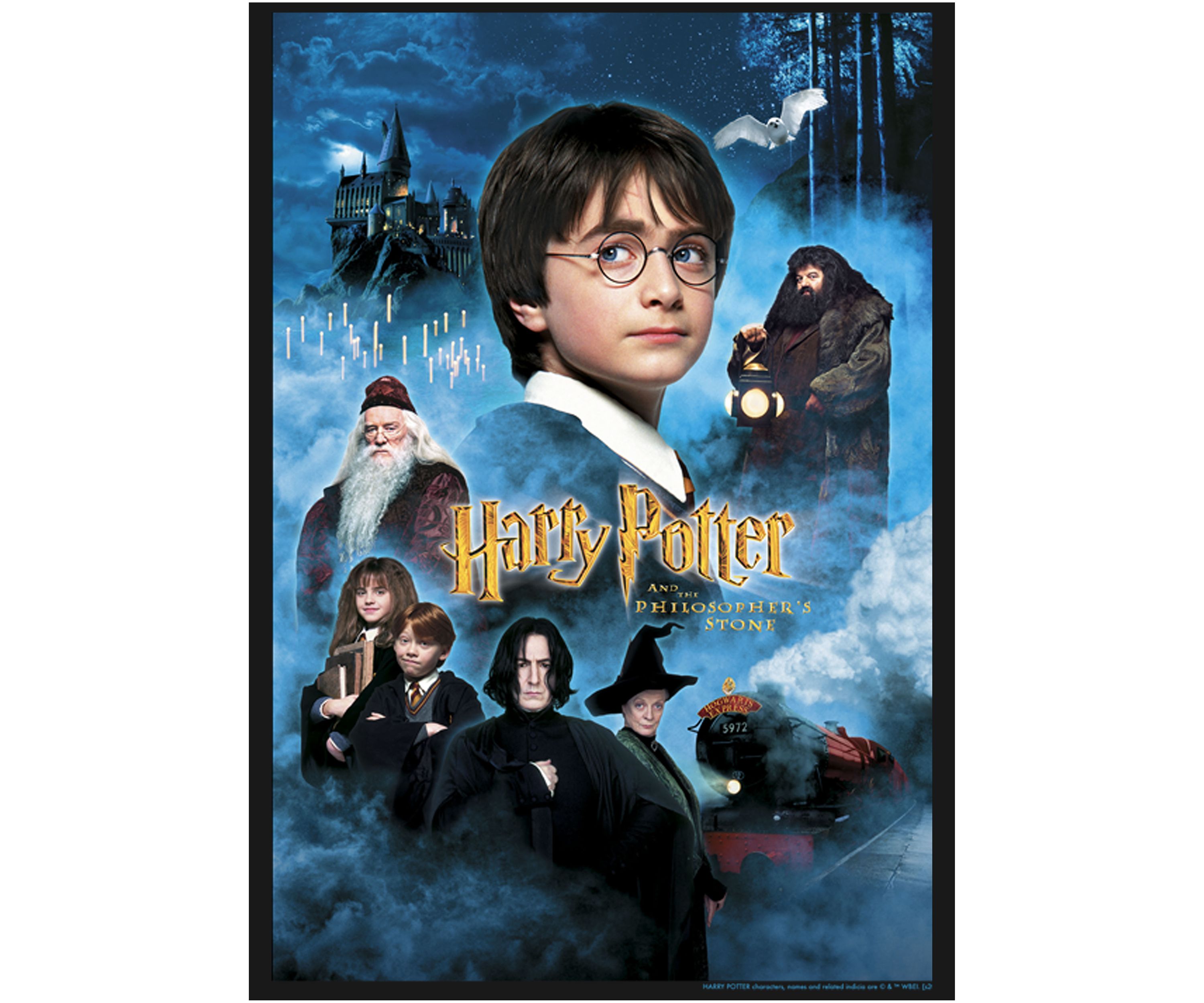 Girls 4-6x Harry Candles Poster Graphic T-Shirt