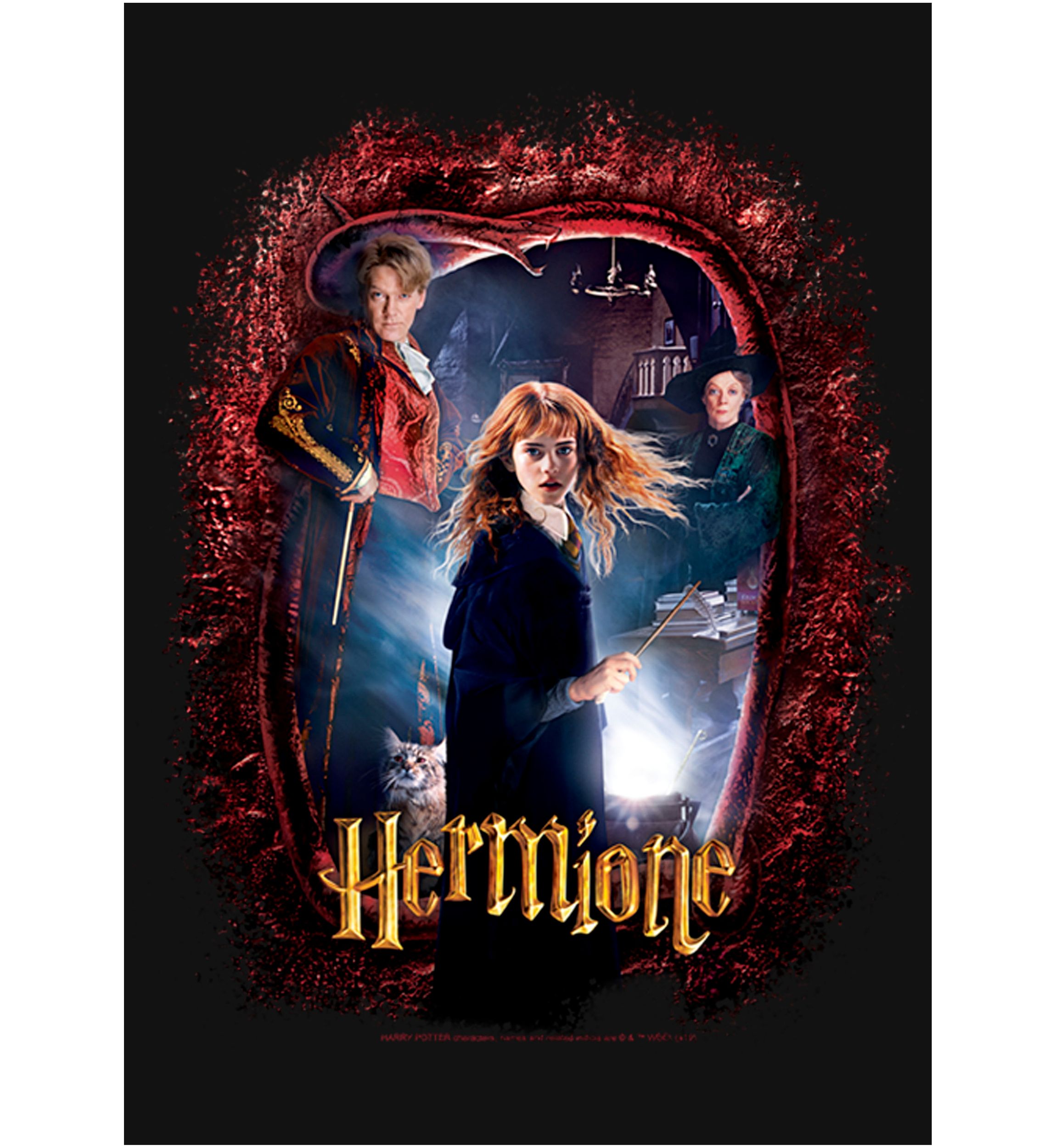 Girls 4-6x Chamber Hermione Banner Graphic T-Shirt