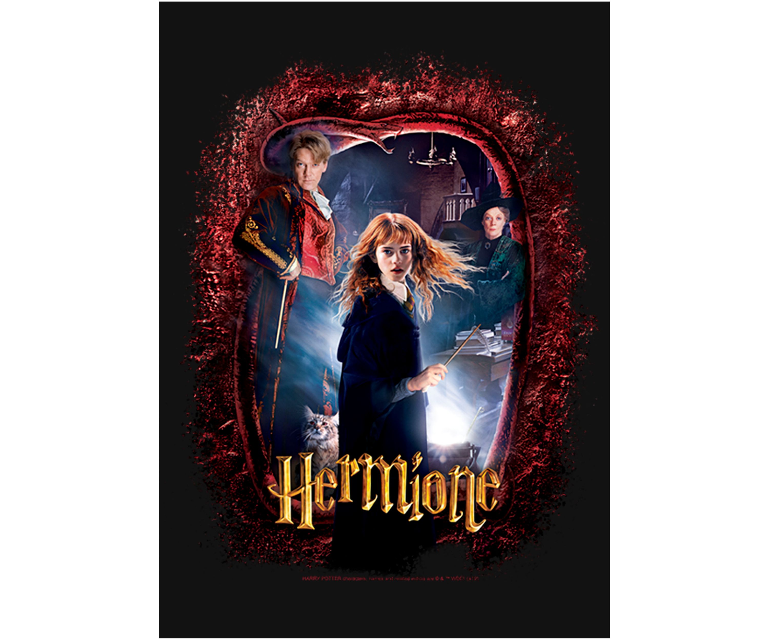 Girls 4-6x Chamber Hermione Banner Graphic T-Shirt