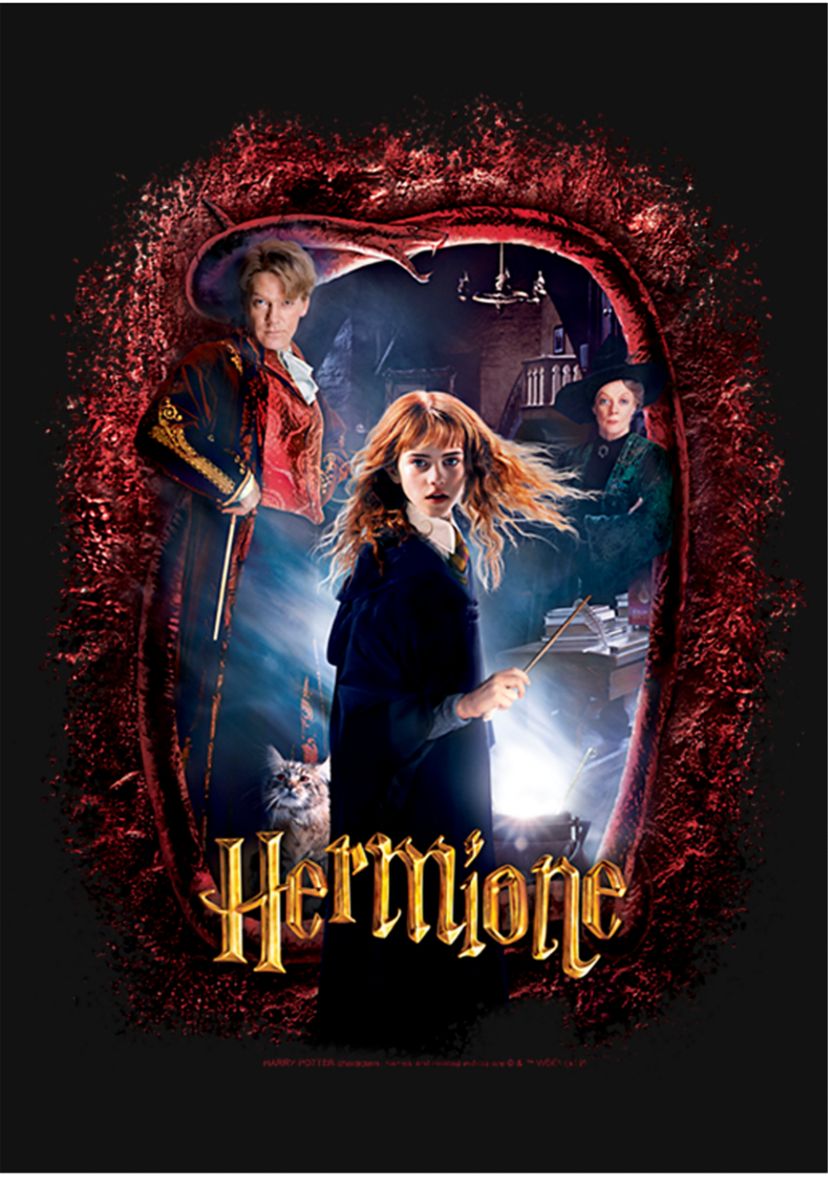 Girls 4-6x Chamber Hermione Banner Graphic T-Shirt