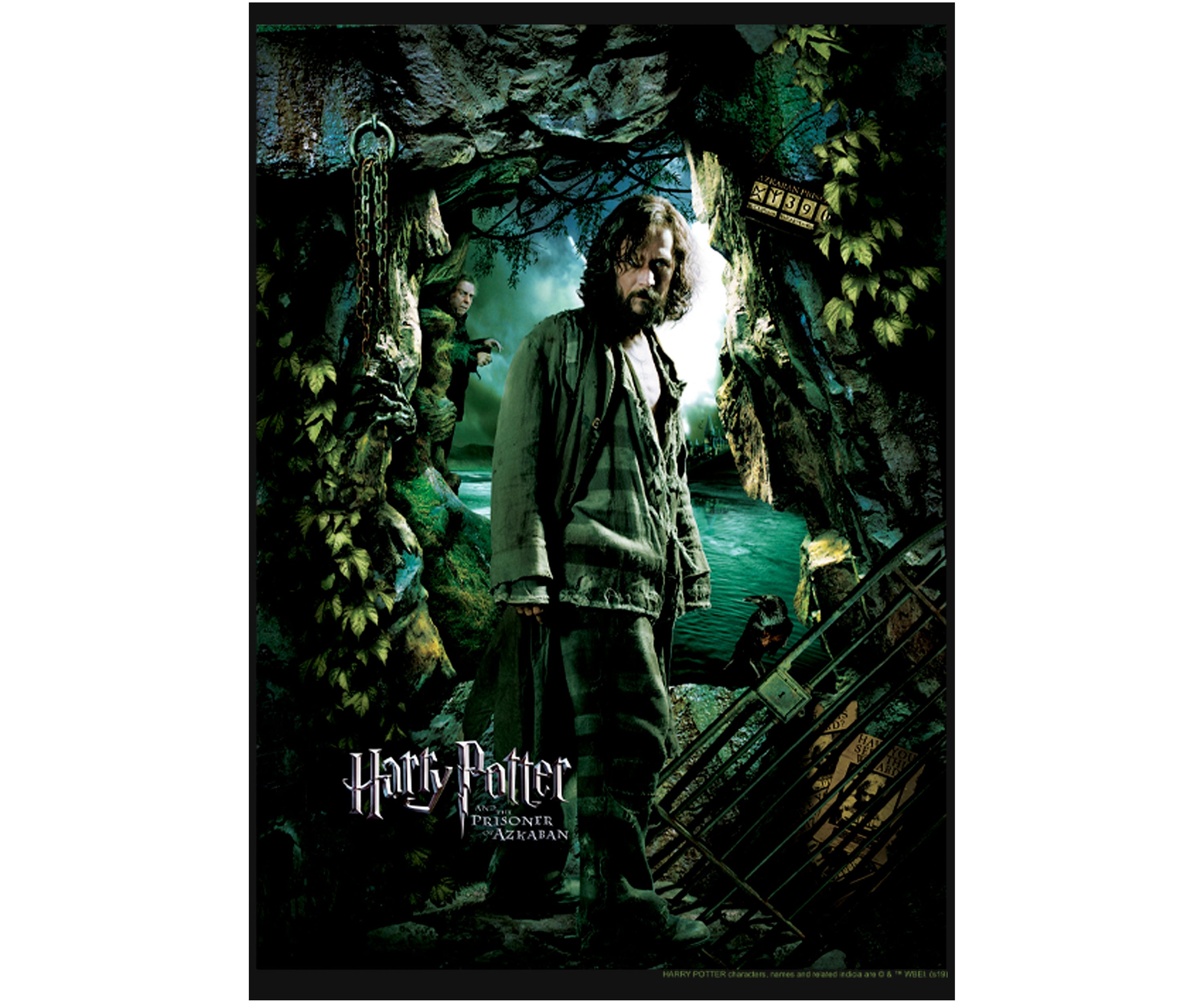 Girls 4-6x Sirius Azkaban Poster Graphic T-Shirt