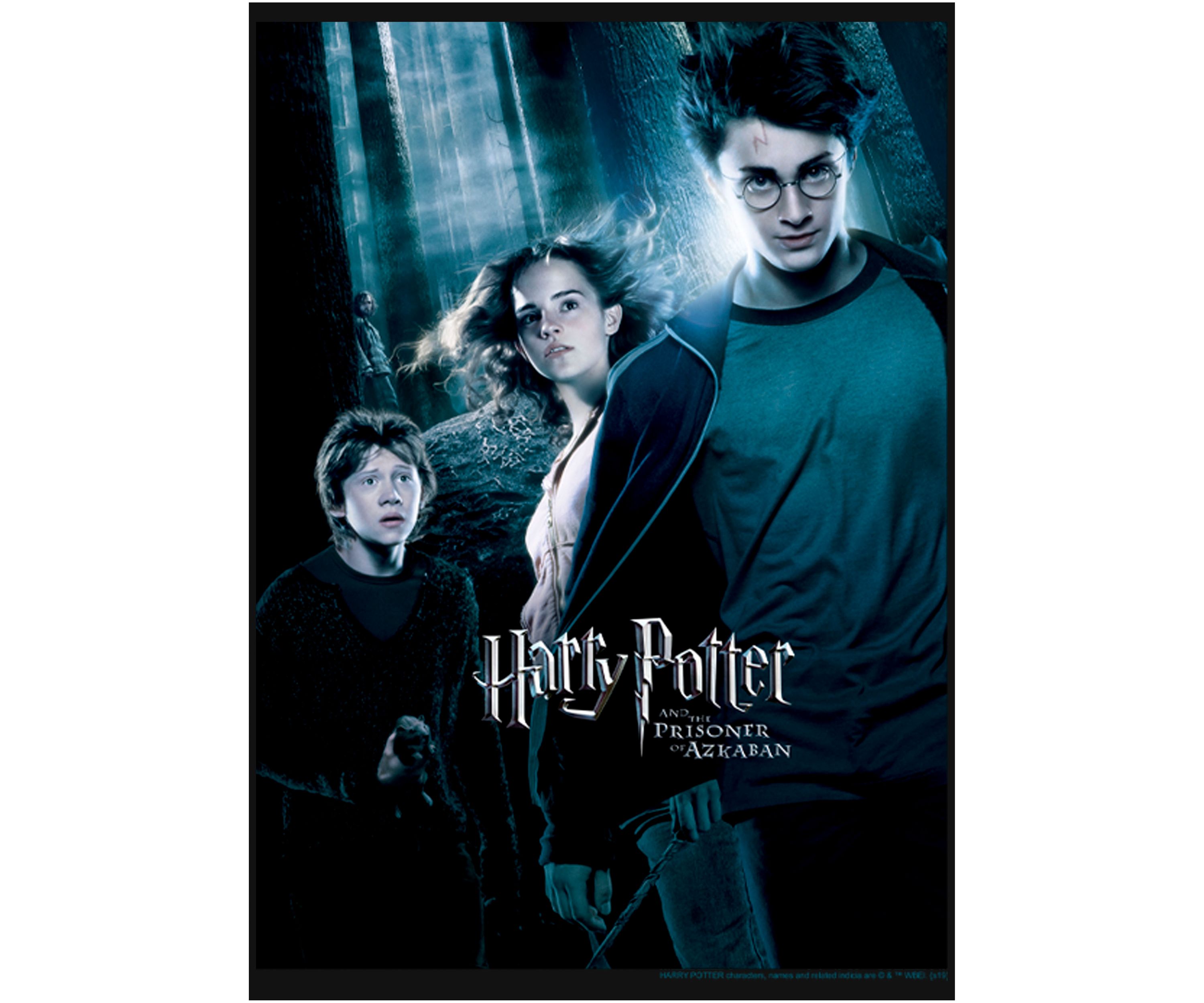 Girls 4-6x Azkaban Forest Poster Graphic T-Shirt