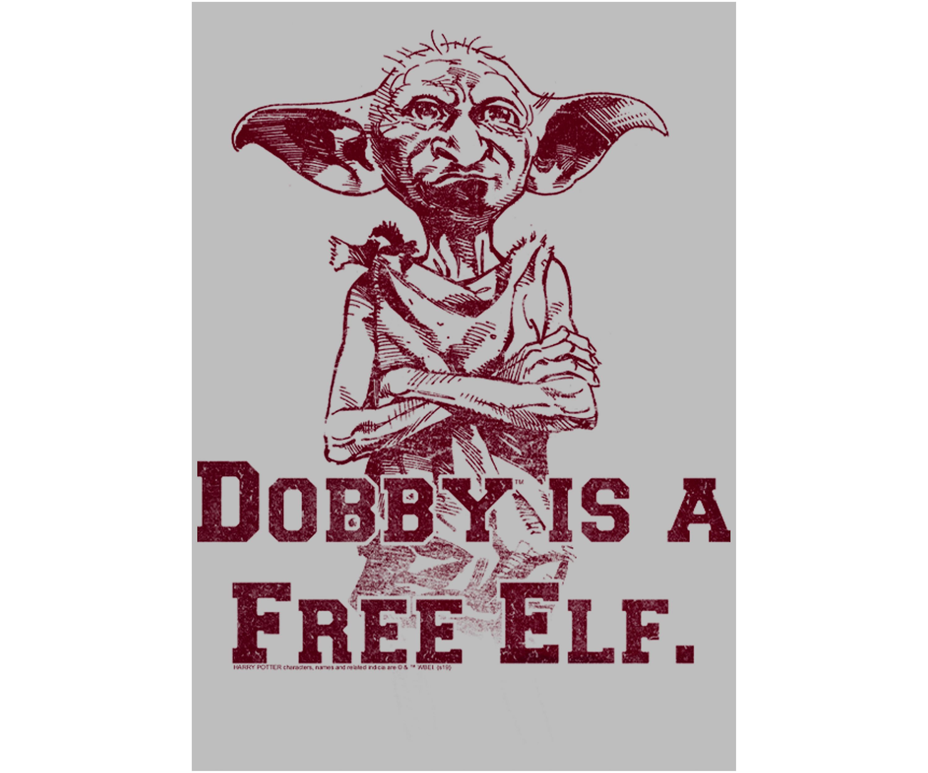 Girls 4-6x Dobby Free Elf Graphic T-Shirt