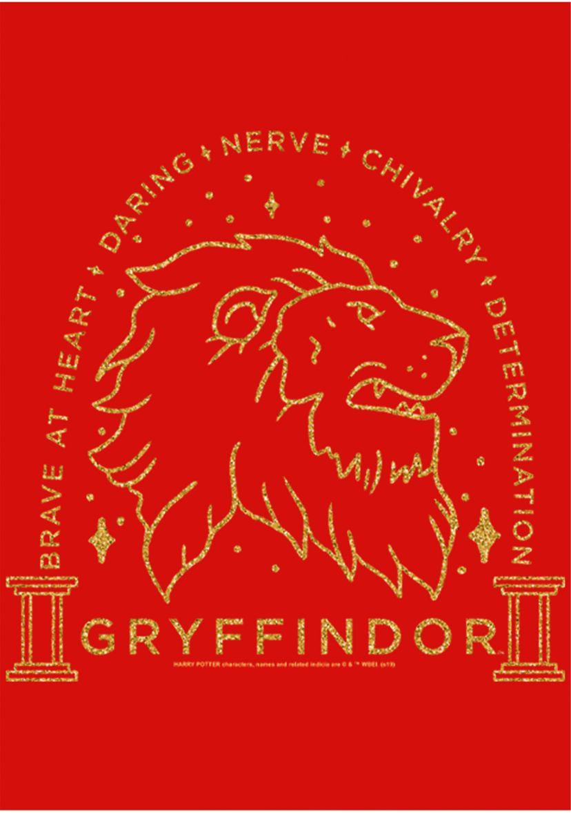 Girls 4-6x Lion Line Art Graphic T-Shirt