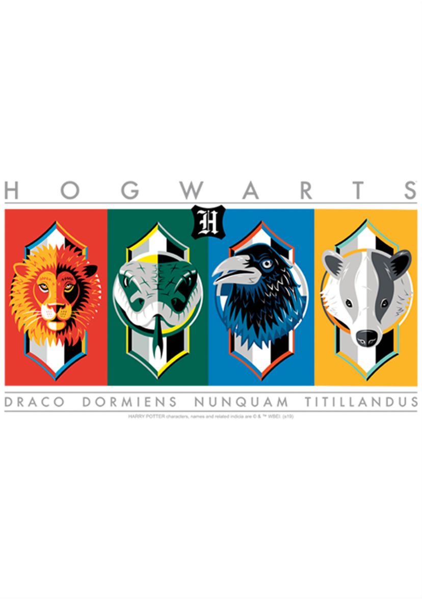 Girls 4-6x Hogwarts House Symbols Graphic T-Shirt