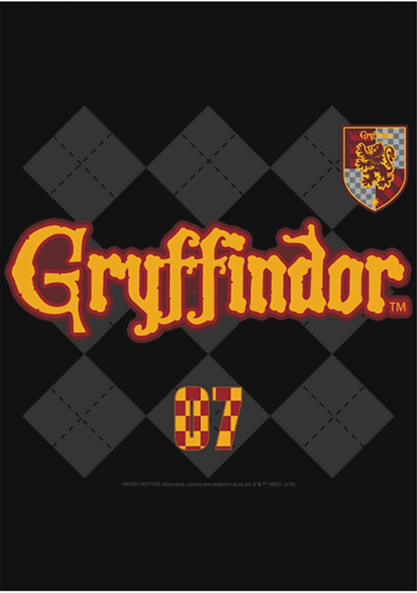 Girls 4-6x Gryffindor Pride Graphic T-Shirt