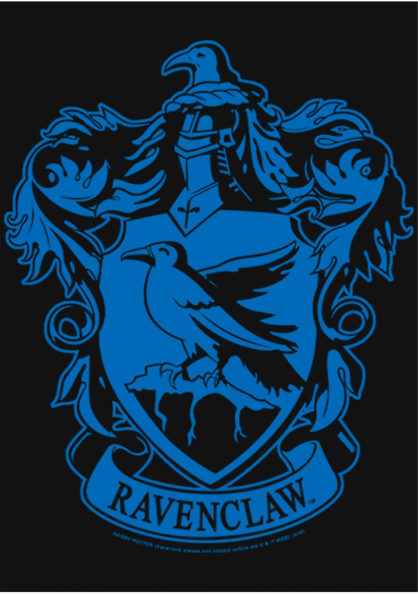 Girls 4-6x Simple Raven Graphic T-Shirt