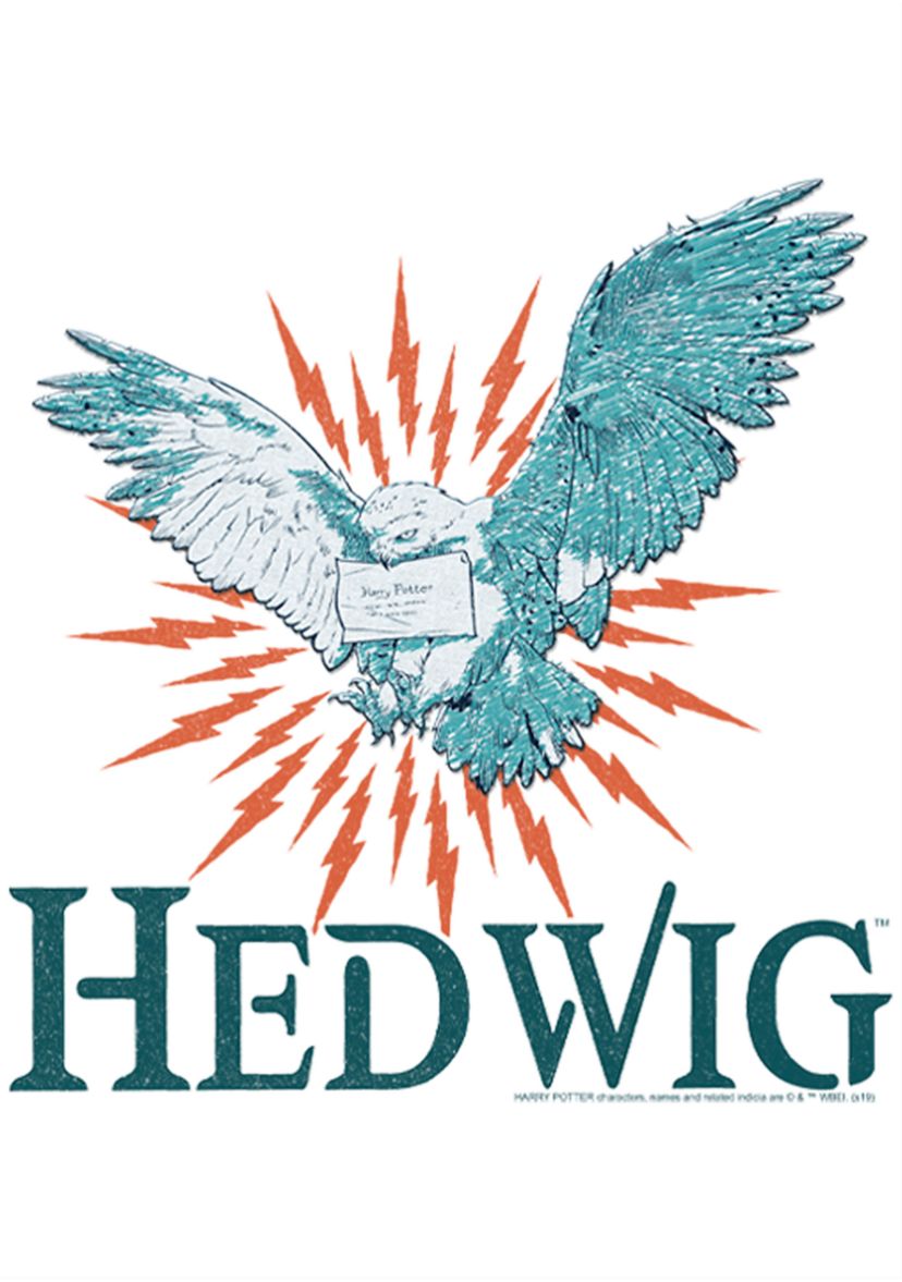 Girls 4-6x Hedwig Mail Graphic T-Shirt