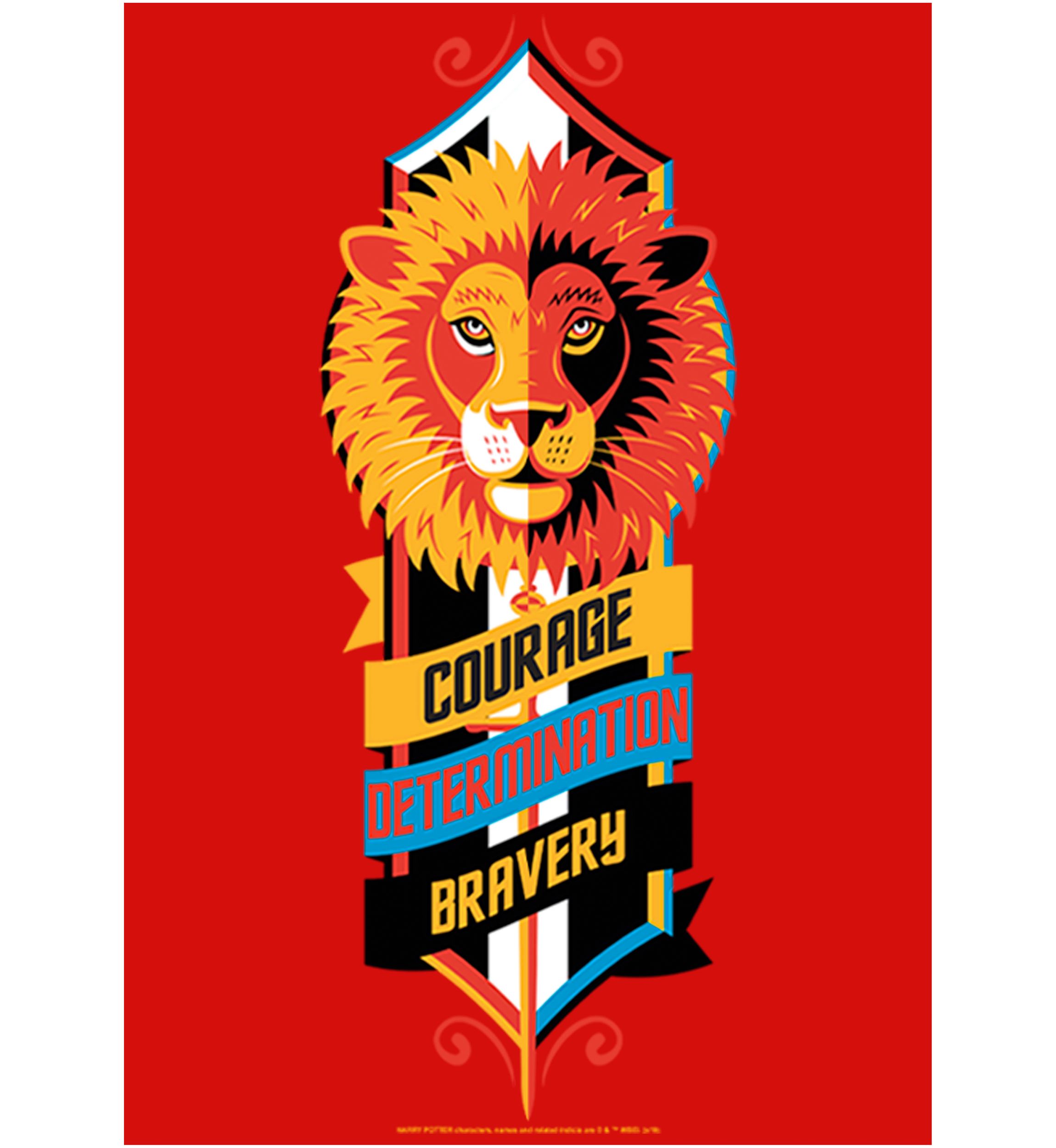 Girls 4-6x Courage Determination Bravery Graphic T-Shirt