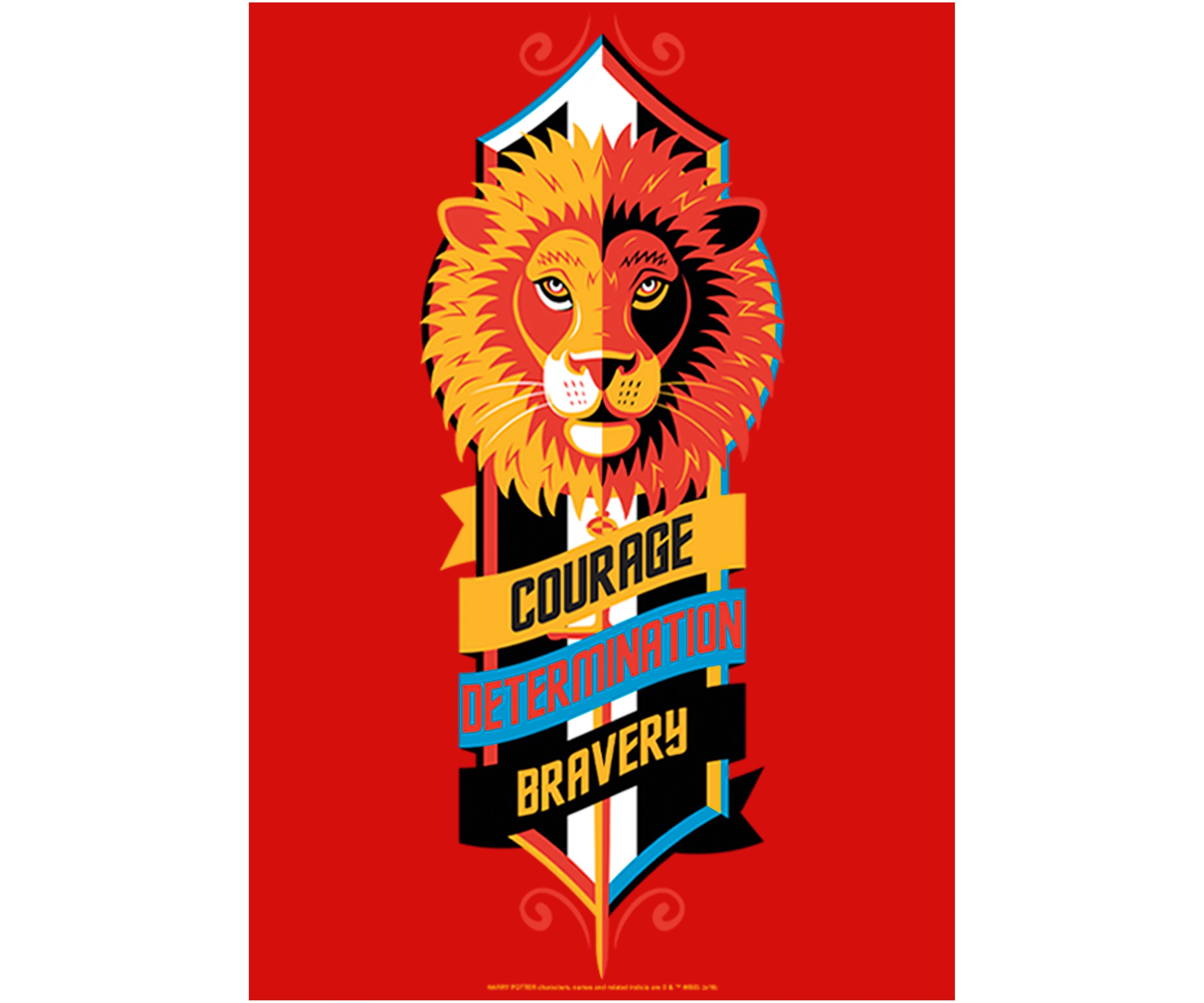 Girls 4-6x Courage Determination Bravery Graphic T-Shirt
