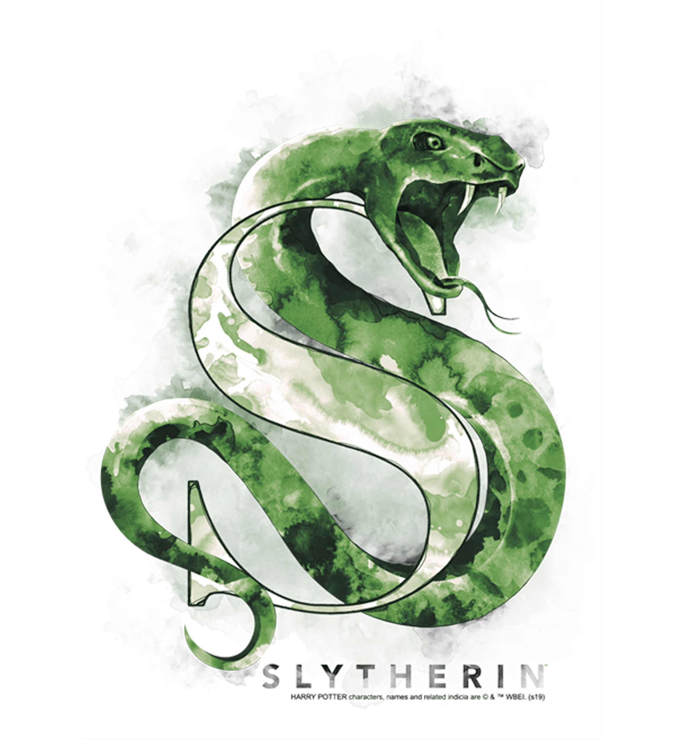 Girls 4-6x Slytherin Mystic Wash Graphic T-Shirt