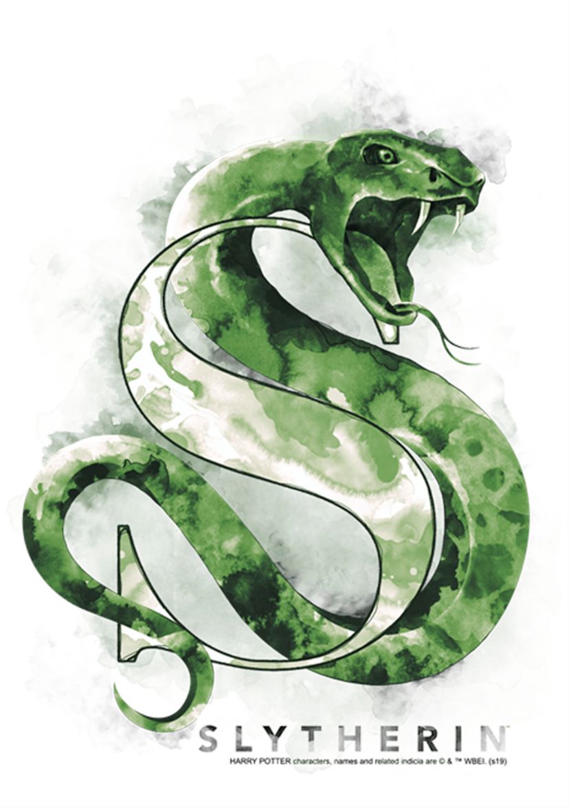 Girls 4-6x Slytherin Mystic Wash Graphic T-Shirt