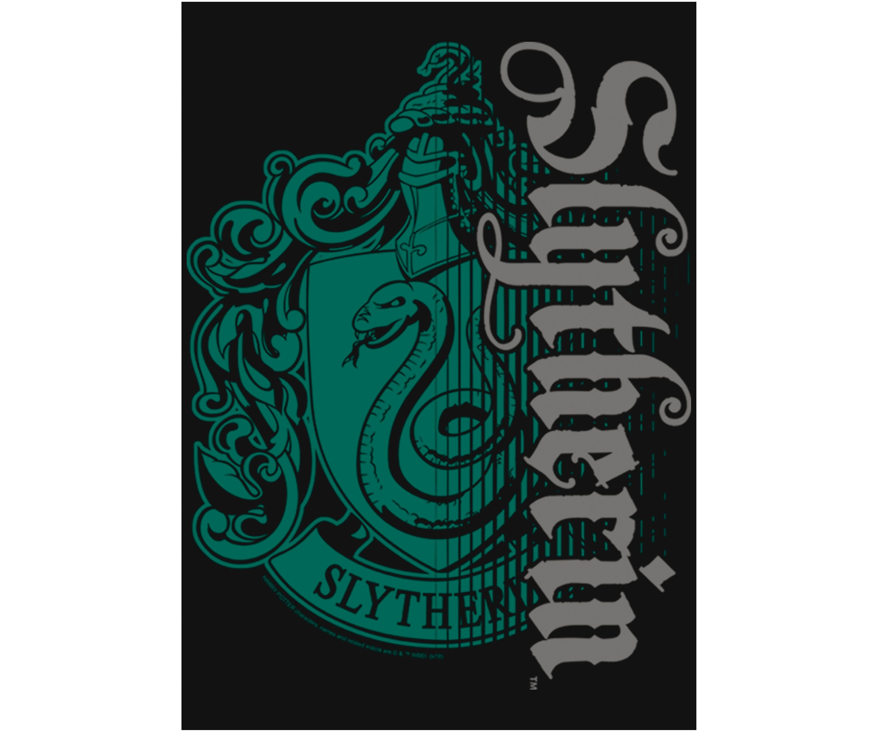 Girls 4-6x Green Crest Graphic T-Shirt