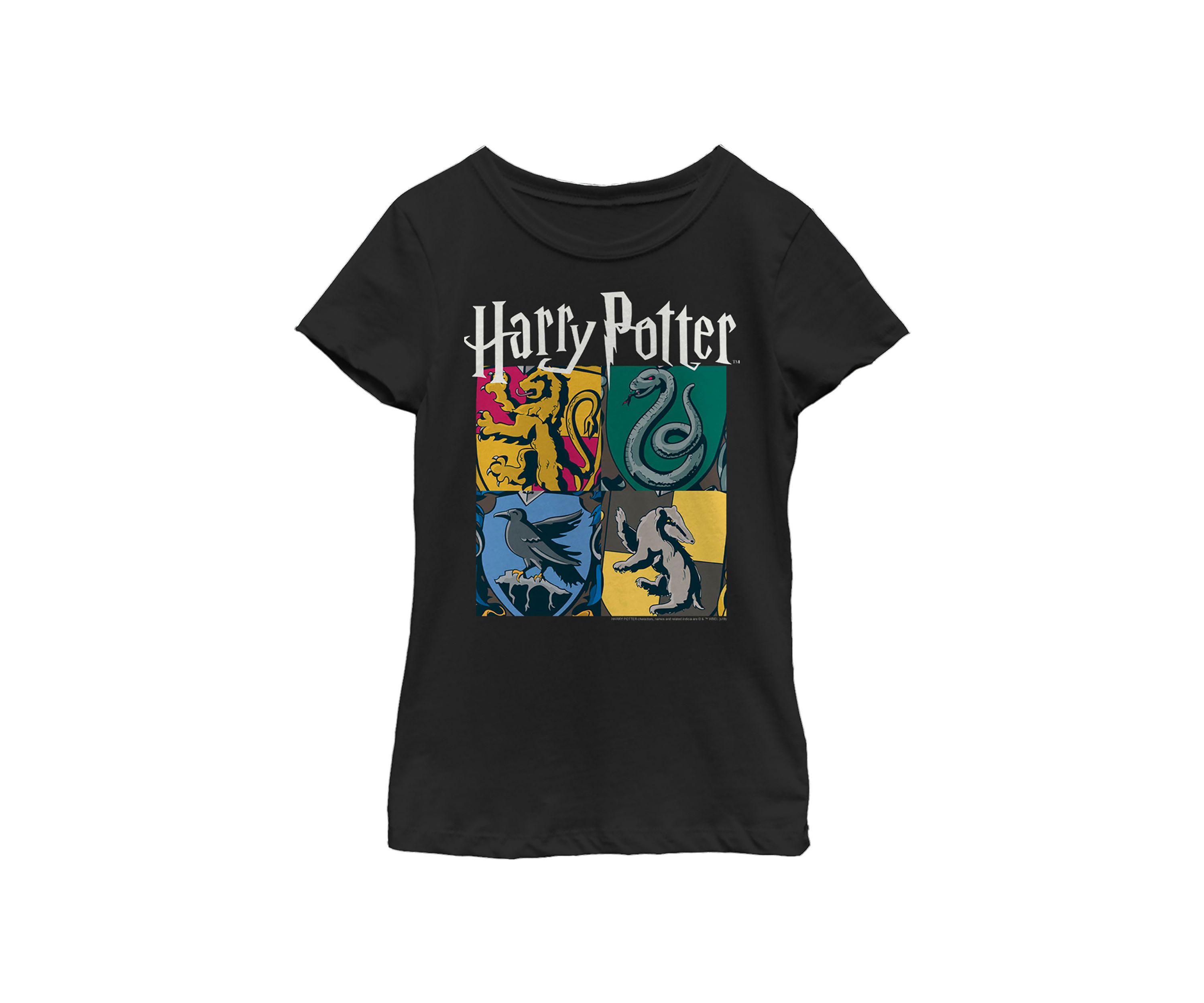 Girls 4-6x All Houses Graphic T-Shirt