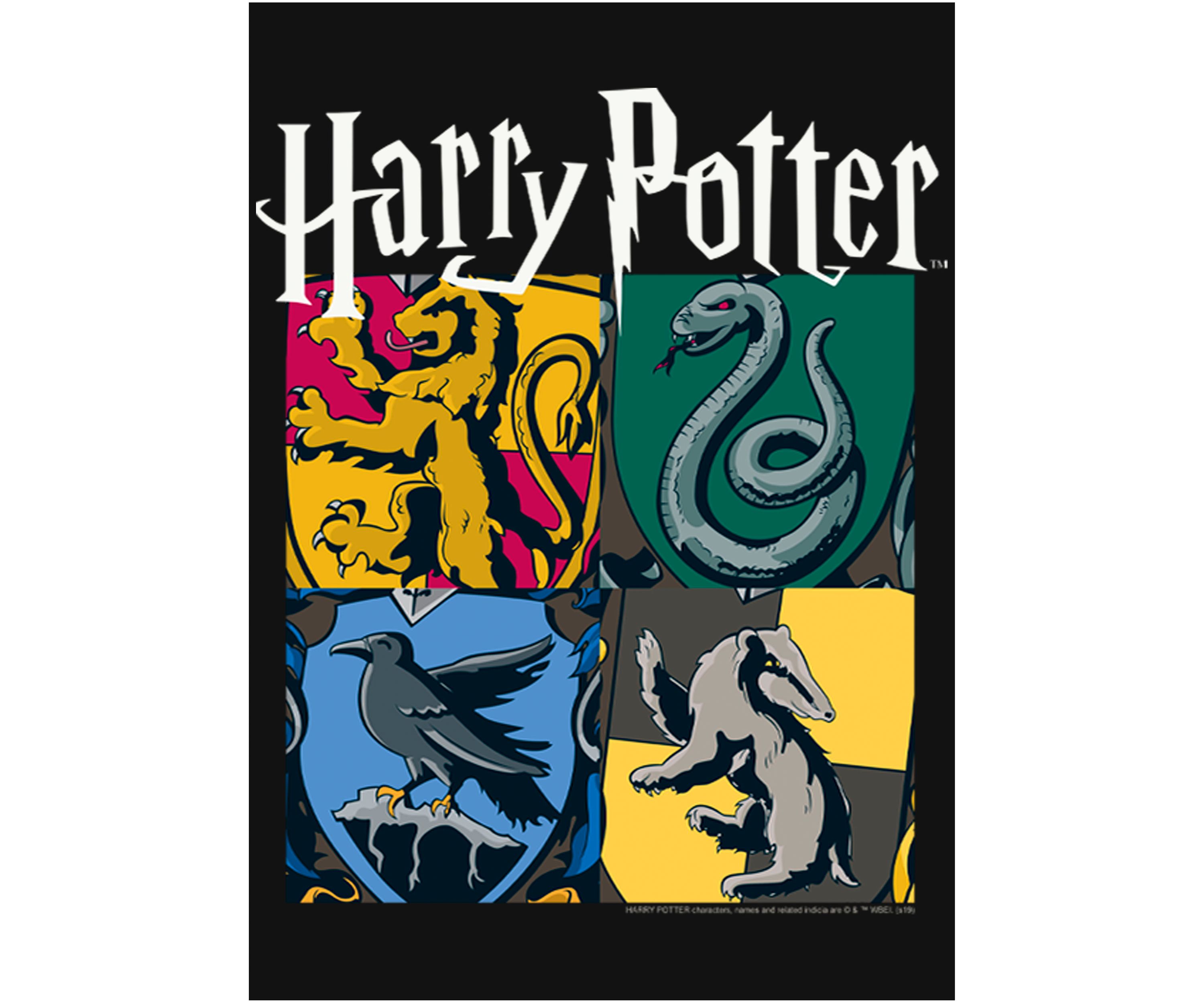 Girls 4-6x All Houses Graphic T-Shirt