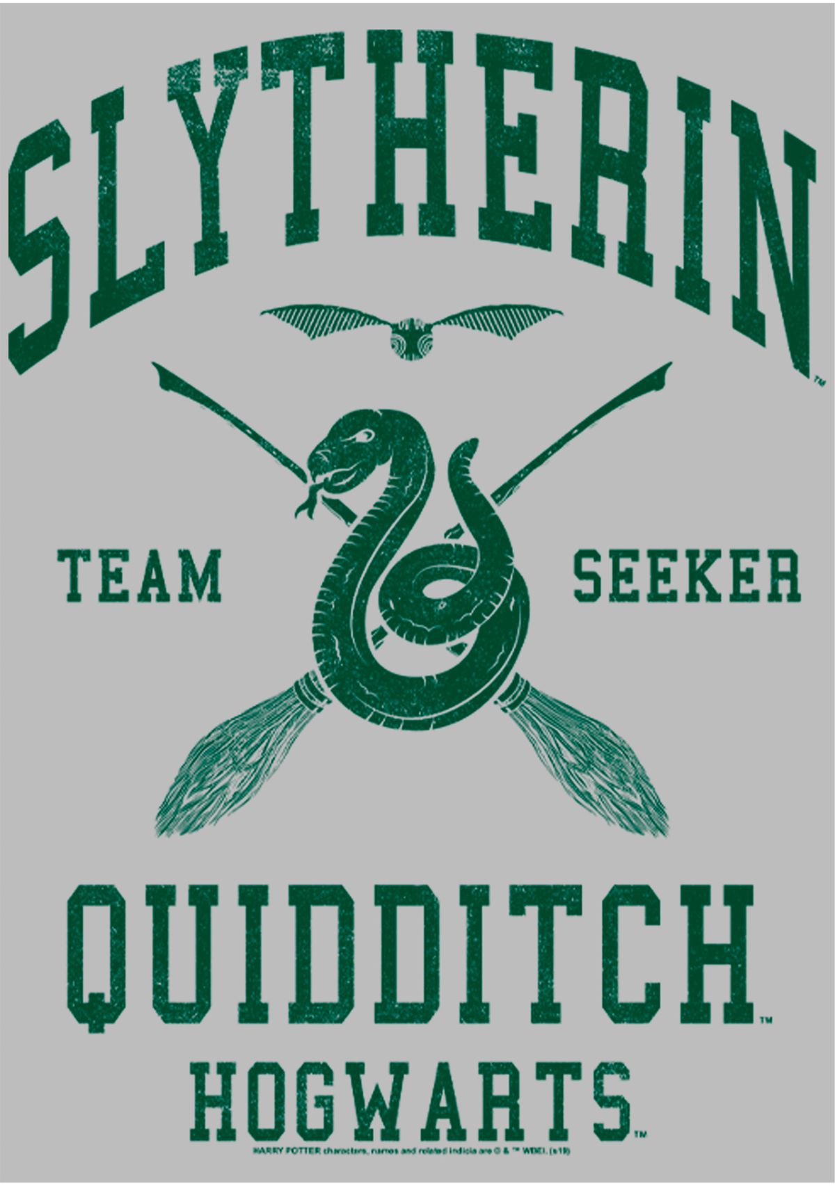 Girls 4-6x Slytherin Quidditch Seeker Graphic T-Shirt