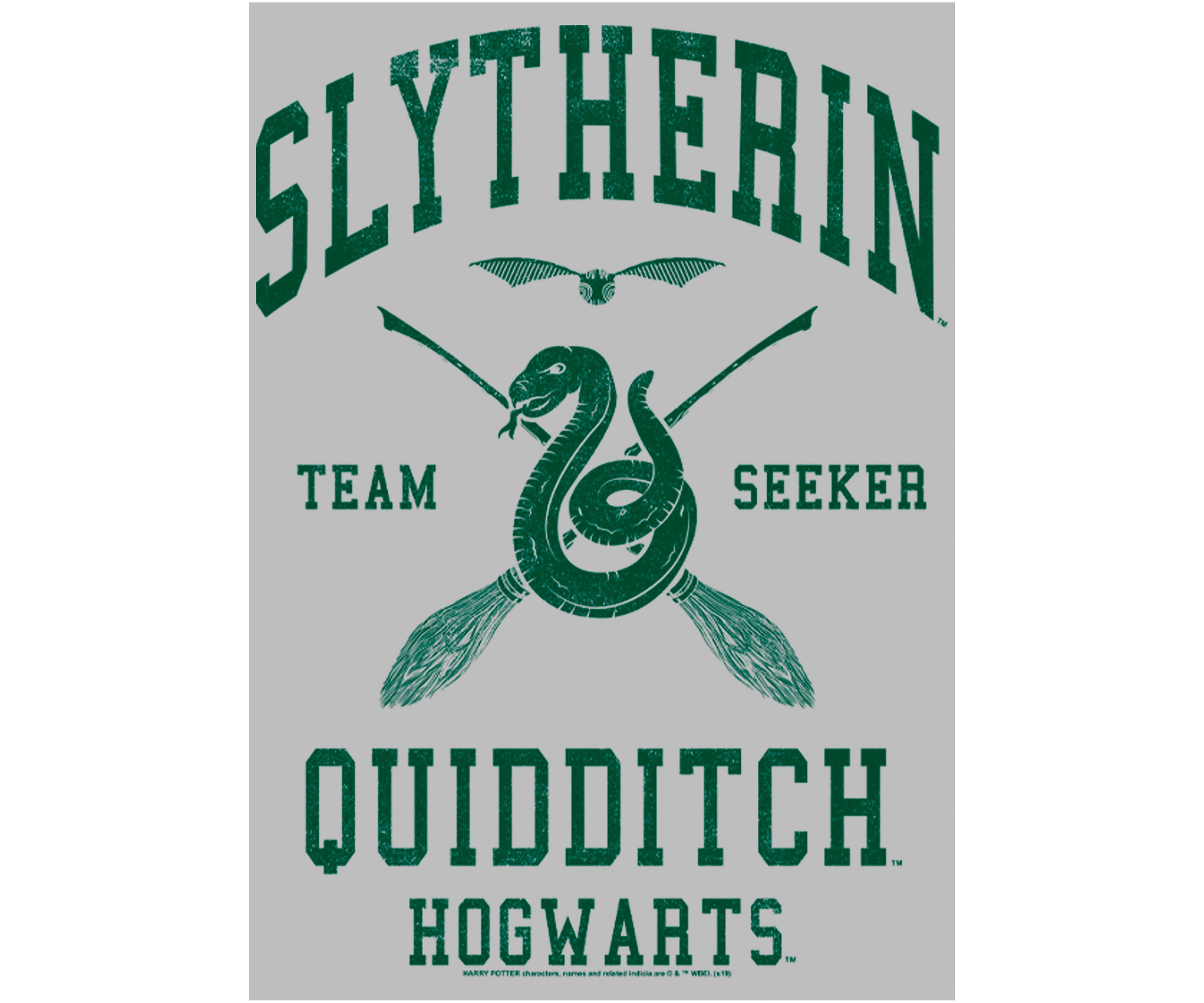 Girls 4-6x Slytherin Quidditch Seeker Graphic T-Shirt