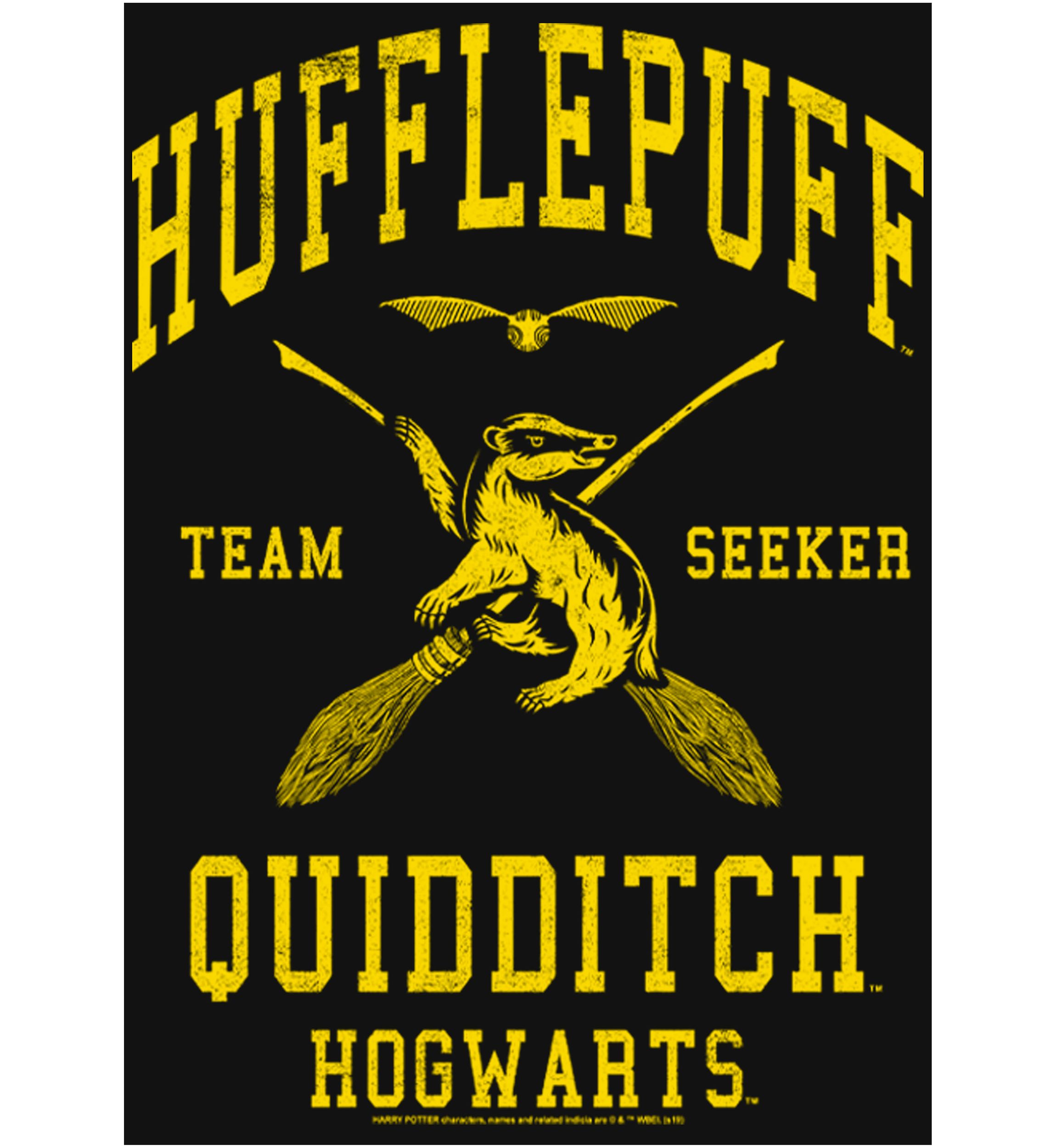 Girls 4-6x Hufflepuff Quidditch Seeker Graphic T-Shirt