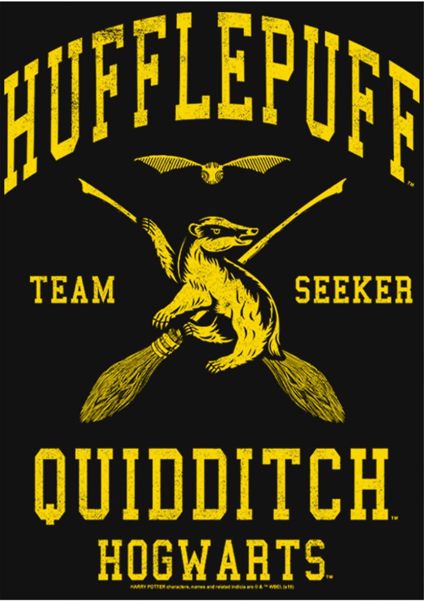 Girls 4-6x Hufflepuff Quidditch Seeker Graphic T-Shirt
