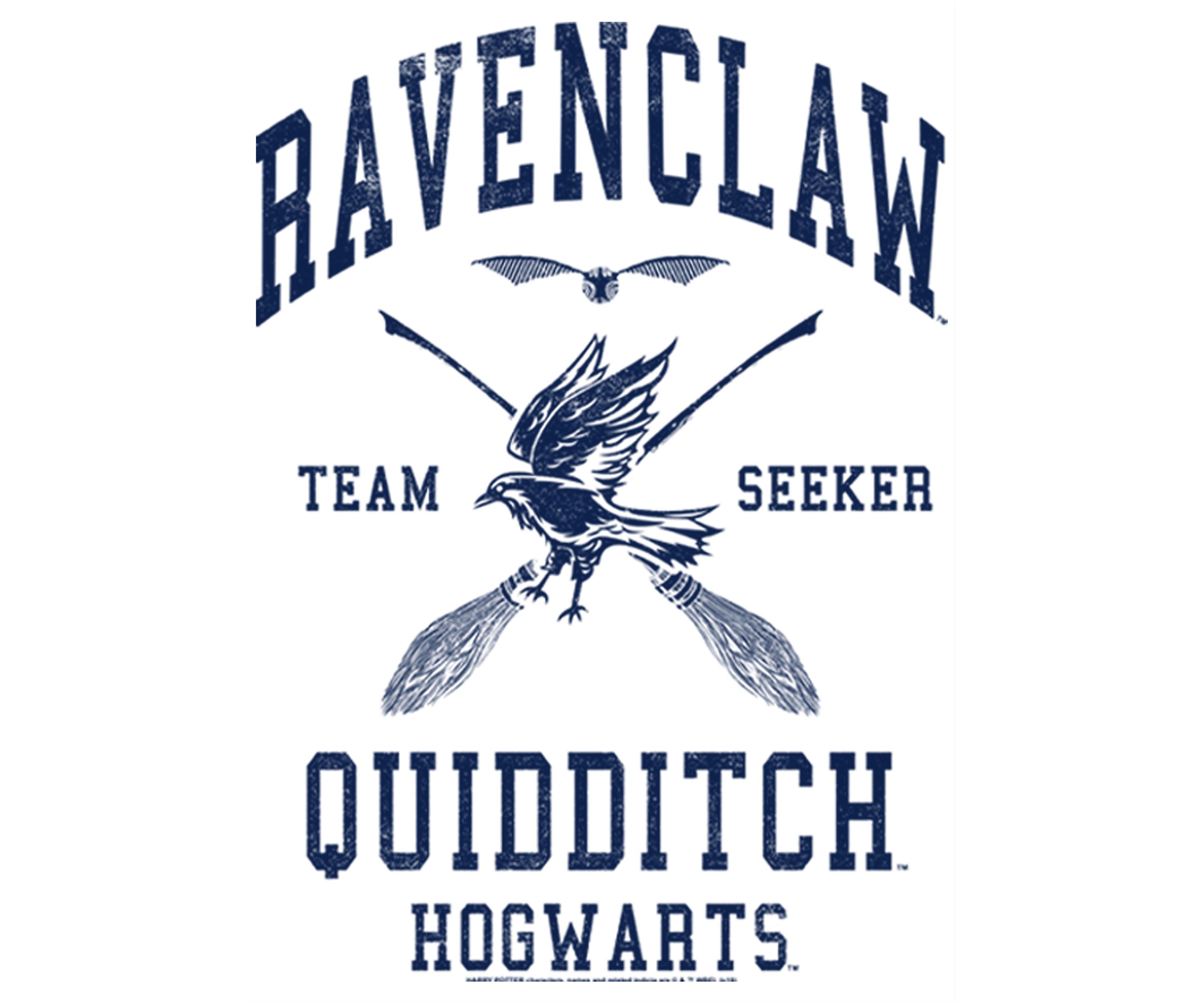 Girls 4-6x Ravenclaw Quidditch Seeker Graphic T-Shirt