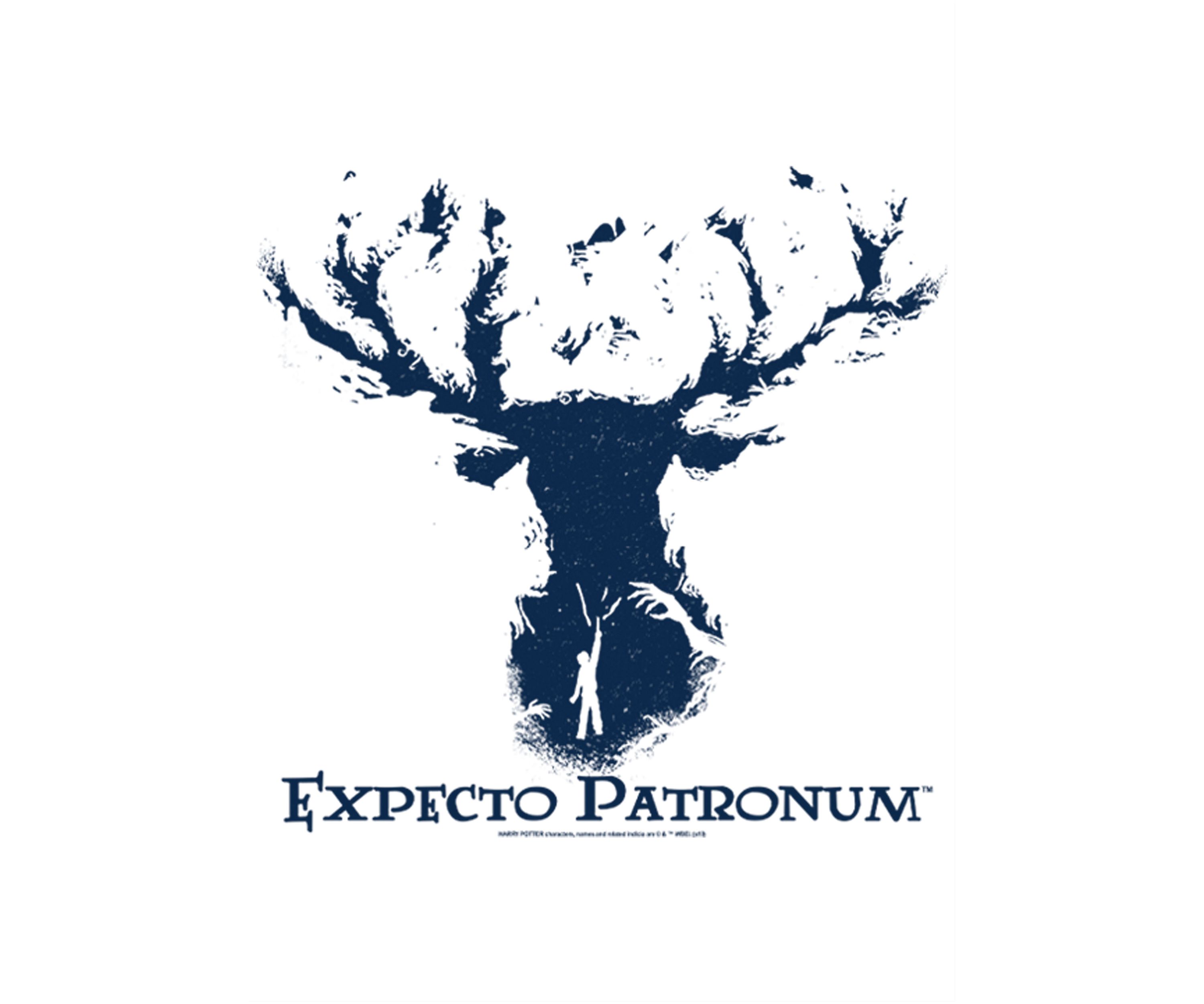 Girls 4-6x Expecto Patronum Graphic T-Shirt