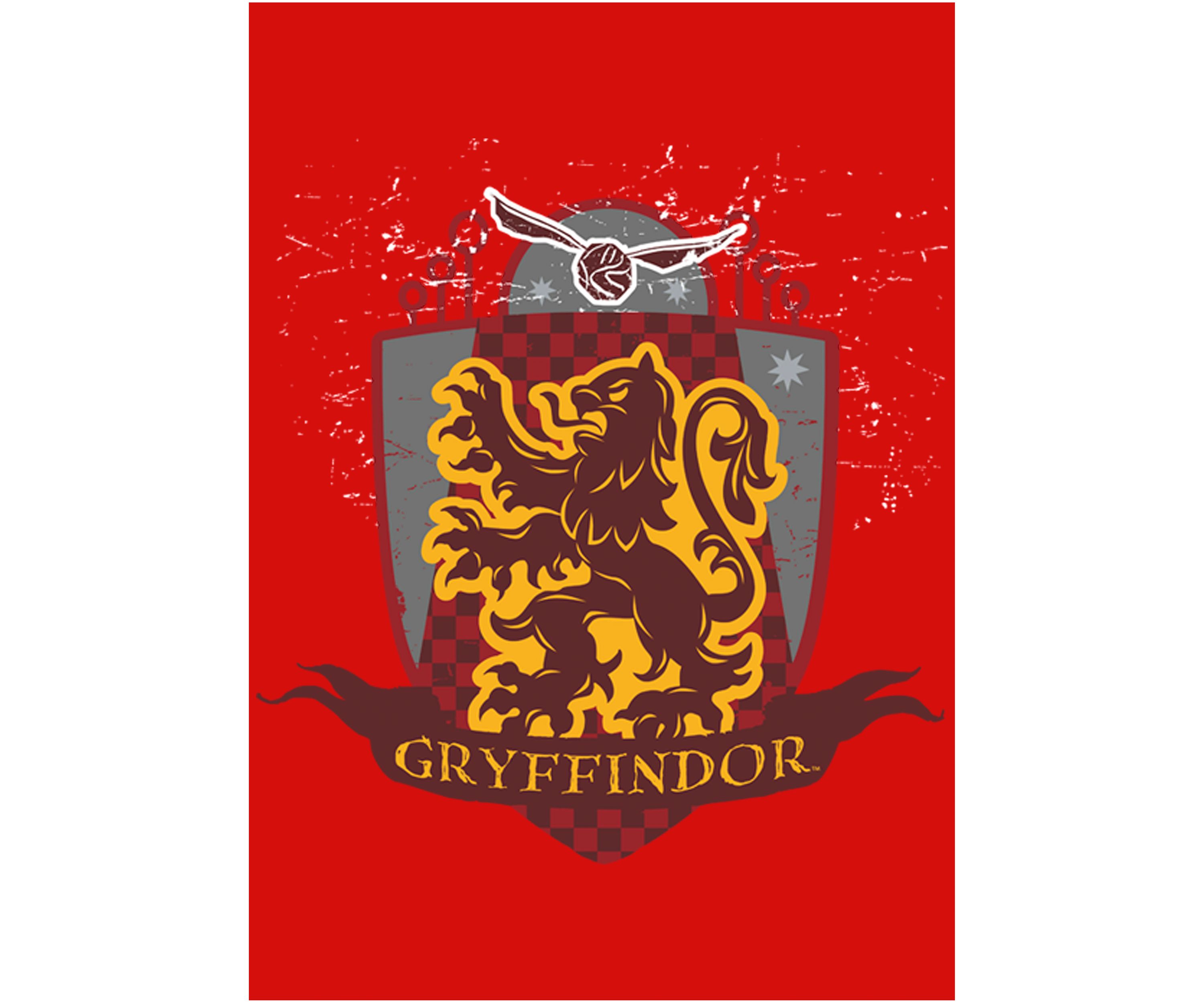 Girls 4-6x Gryffindor Quidditch Graphic T-Shirt