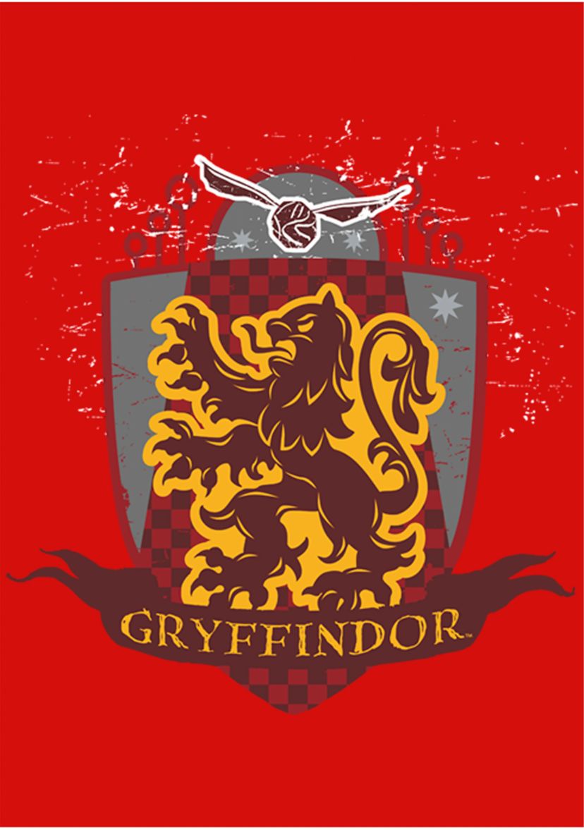 Girls 4-6x Gryffindor Quidditch Graphic T-Shirt