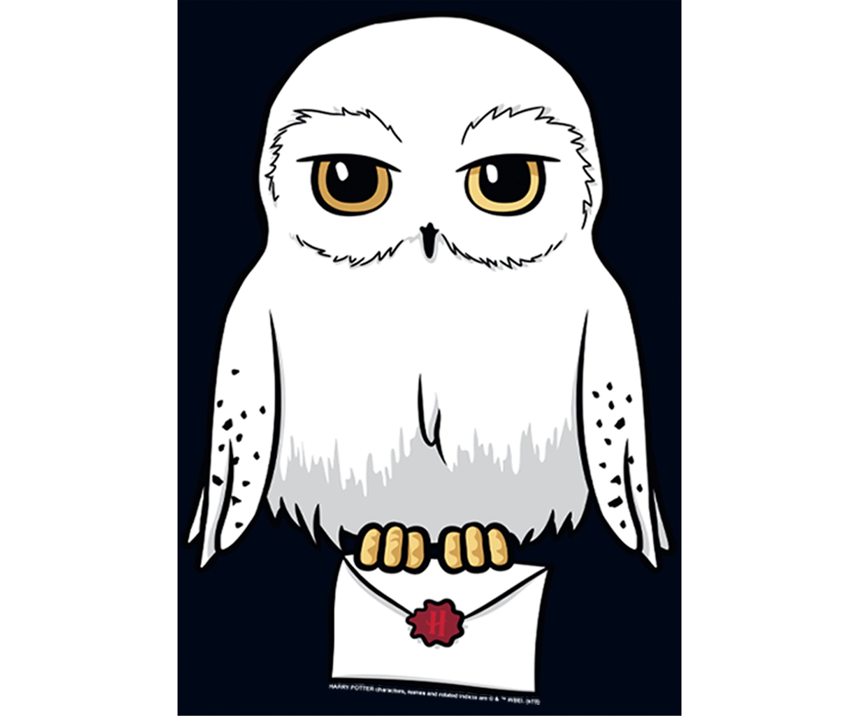 Girls 4-6x Anime Hedwig Mail Graphic T-Shirt 