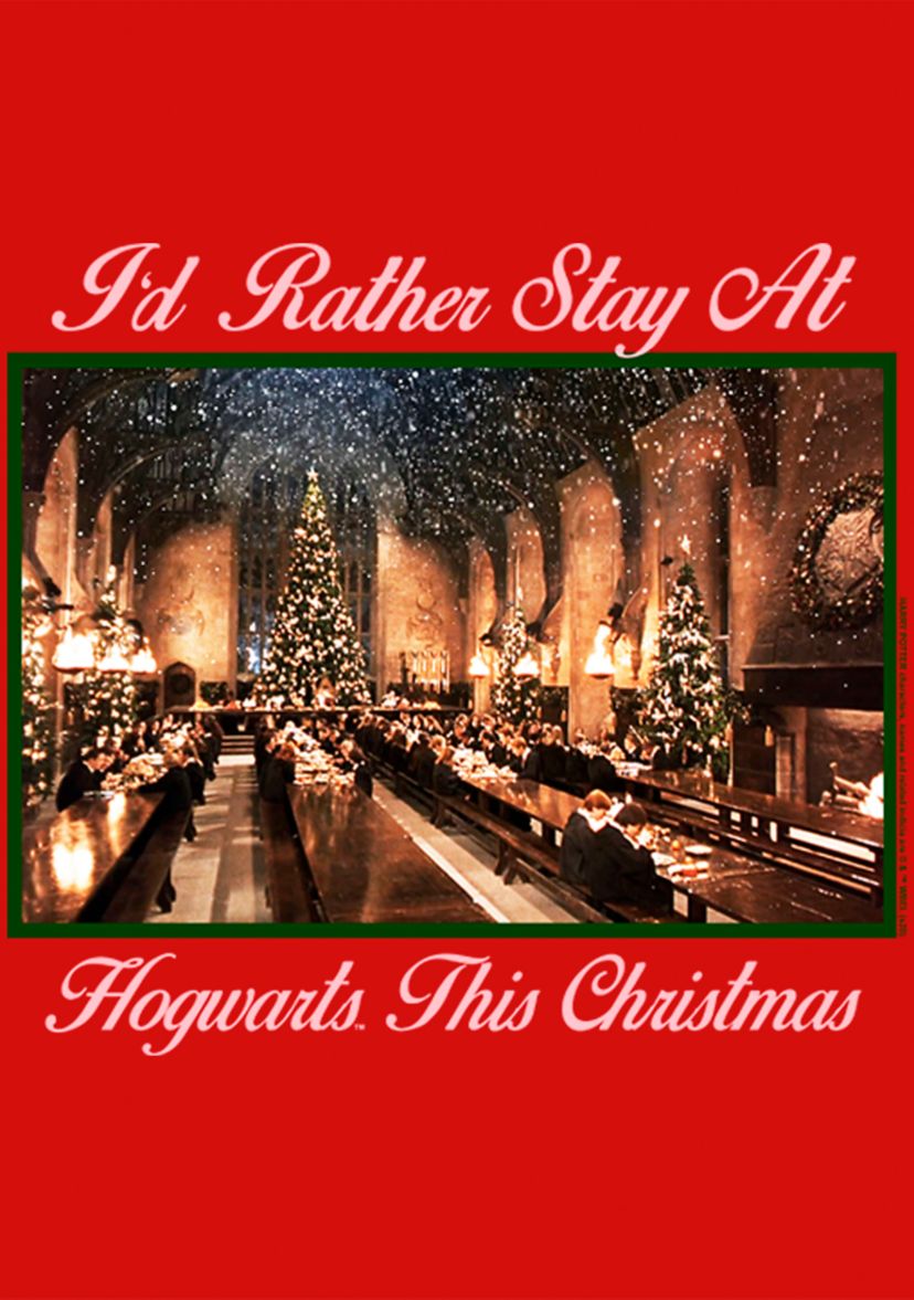 Girls 4-6x Holiday Hogwarts Photobox Top