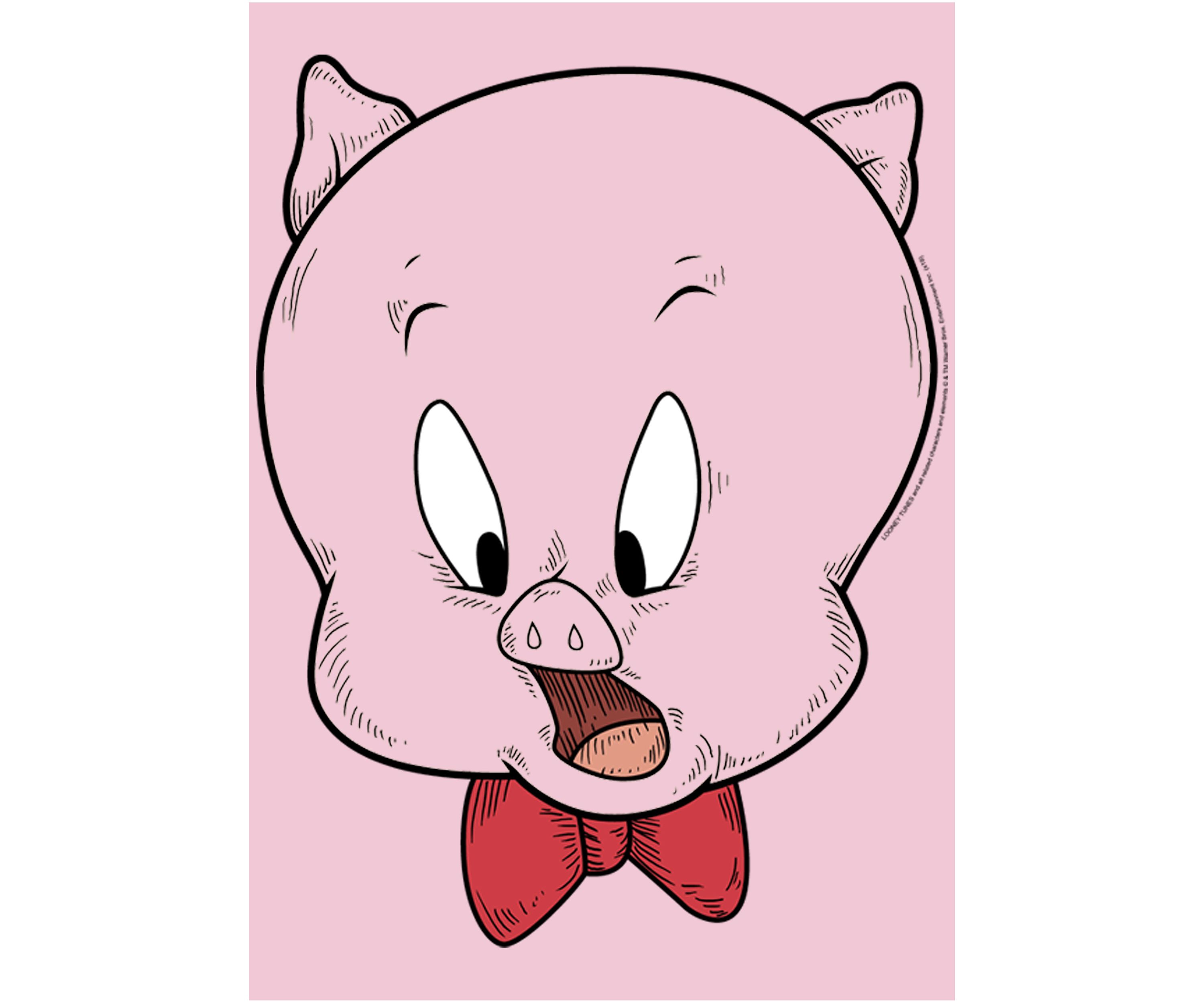 Girls 4-6x Porky Pig Face Graphic T-Shirt