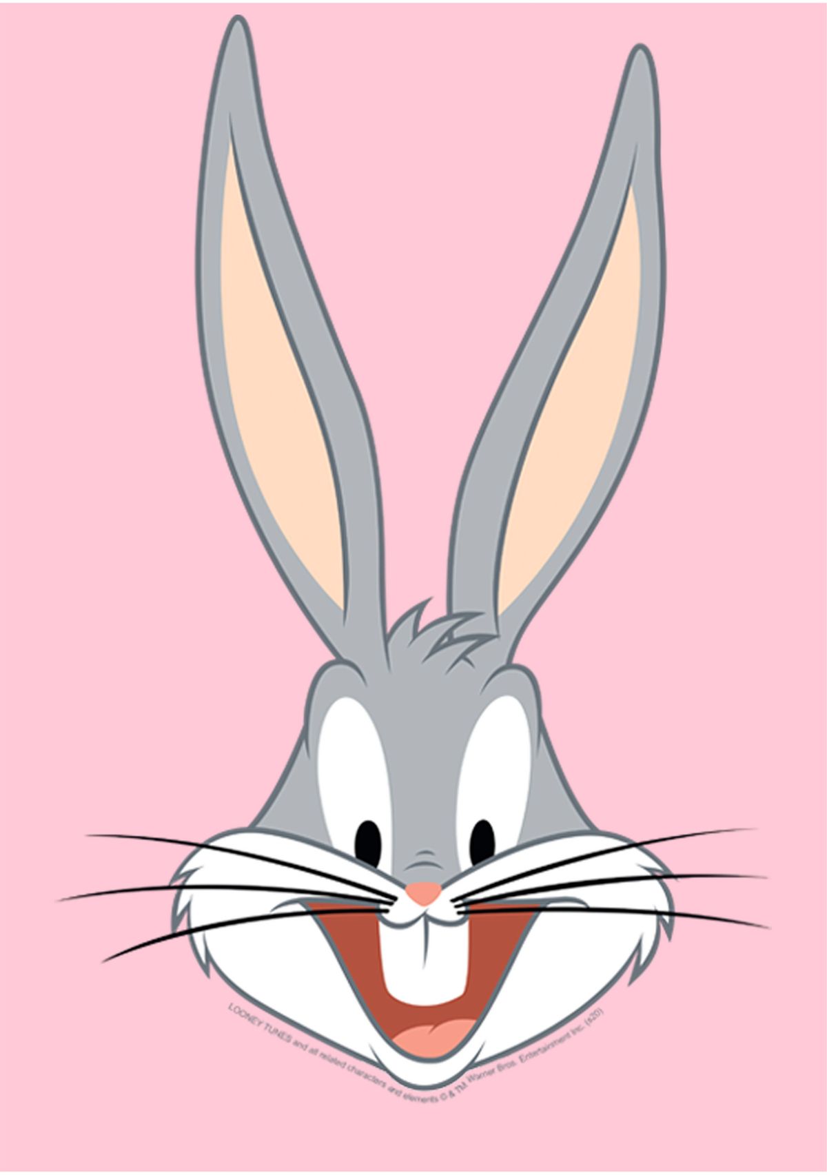 Girls 4-6x Bugs Big Face Graphic T-Shirt