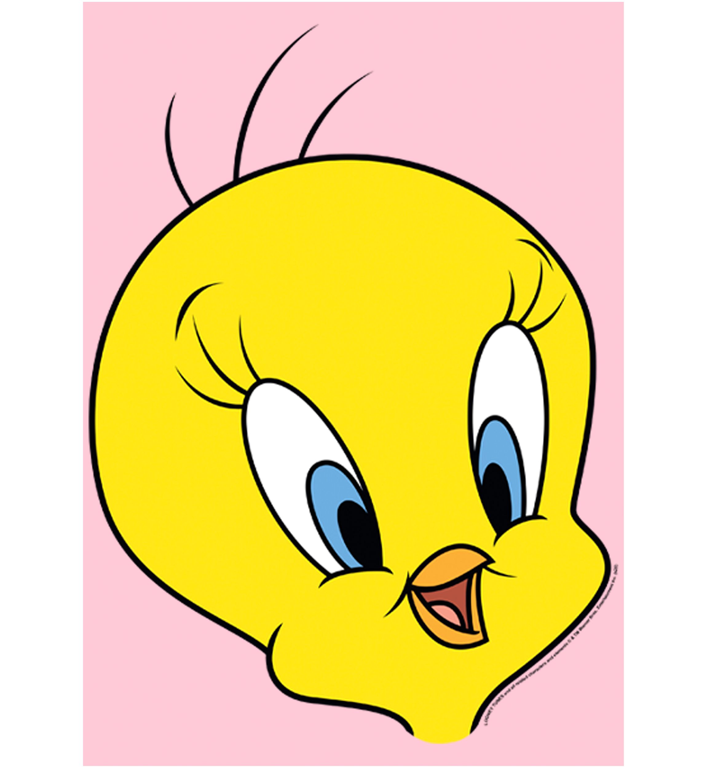 Girls 4-6x Tweety Big Face Graphic T-Shirt