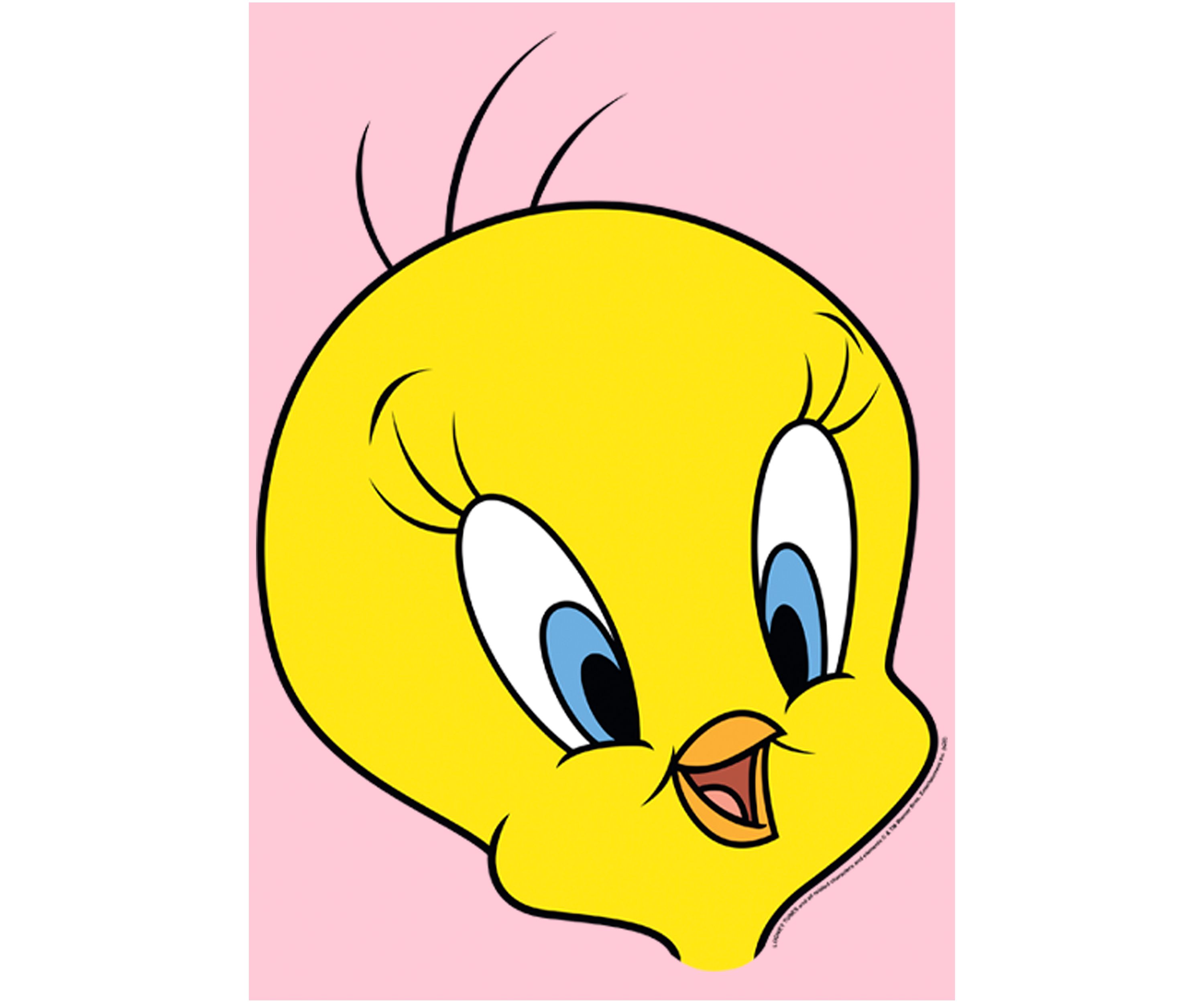 Girls 4-6x Tweety Big Face Graphic T-Shirt