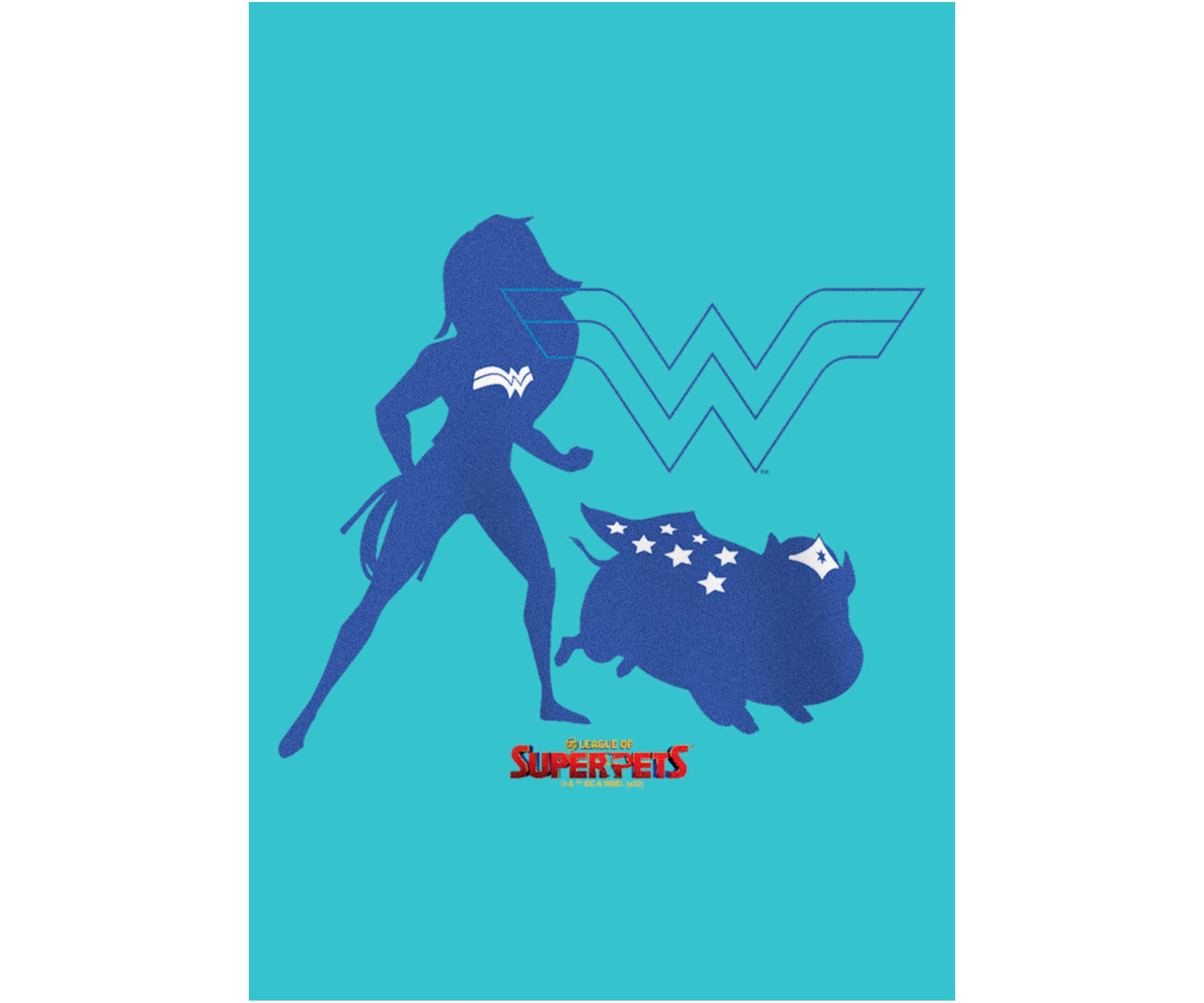 Wonder Duo Graphic T-Shirt